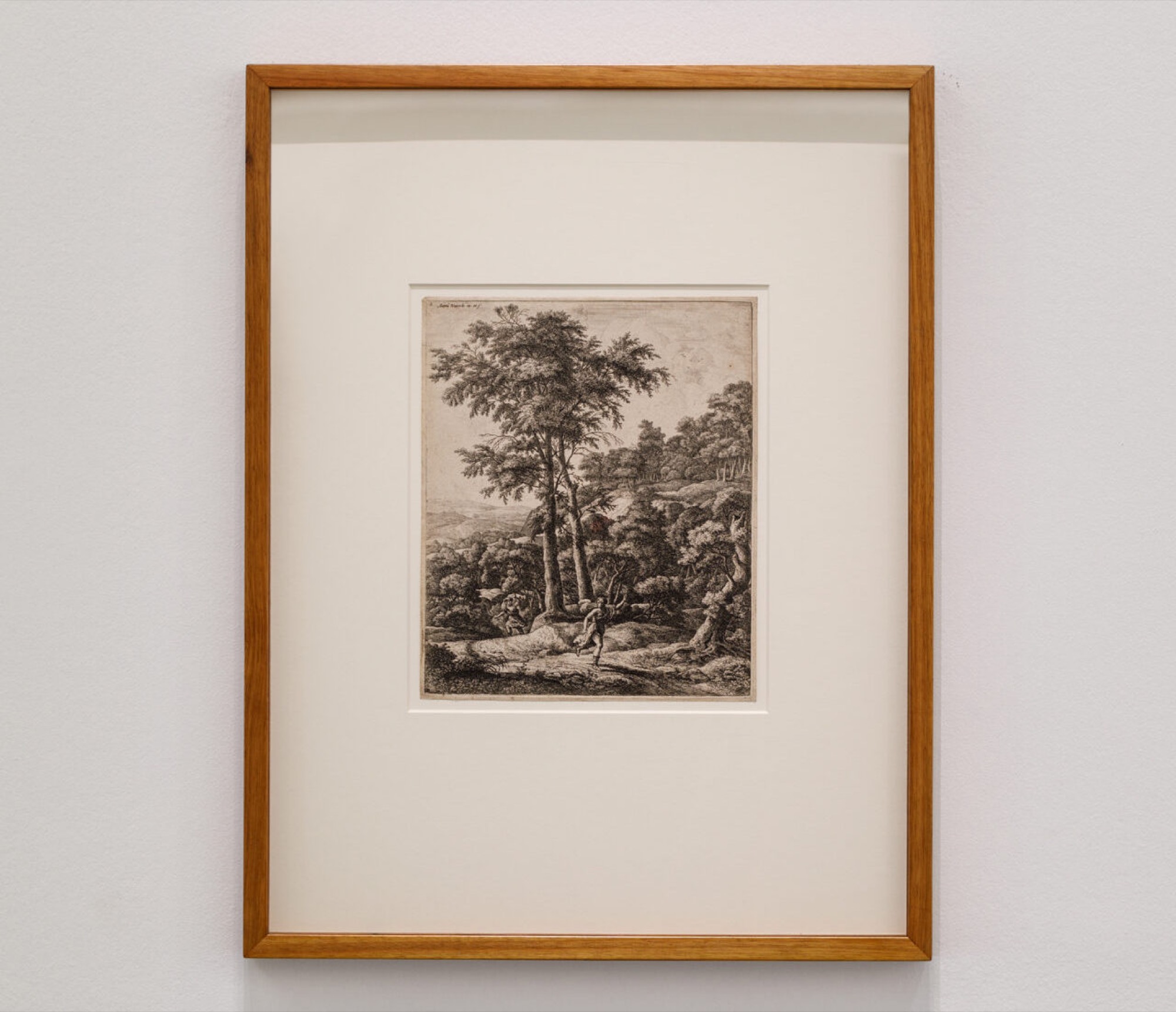 Anthonie Waterloo, Apollo and Daphne (1650s); published (1784–88). Etching, 29.5 x 24.6 cm (image and plate); 29.9 x 24.9 cm (sheet). National Gallery of Victoria, Melbourne, gift of Sir Lionel Lindsay 1954. Photograph: Andrew Curtis.