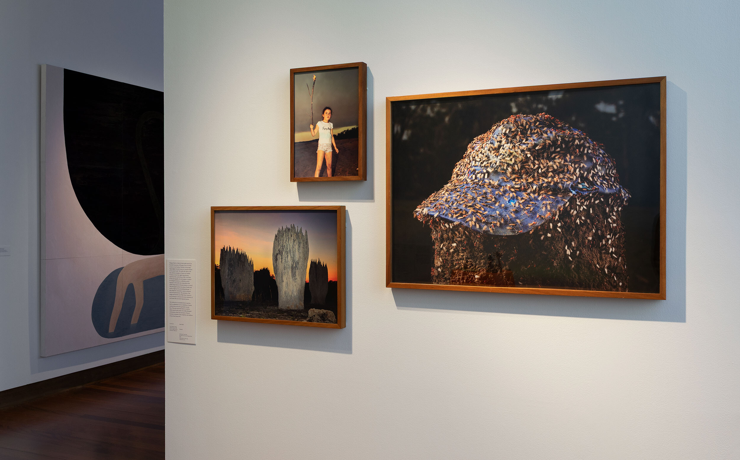<p>Installation view of <em>A velvet ant, a flower and a bird</em>, Potter Museum of Art, the University of Melbourne, 2026. Photo: Christian Capurro.</p>