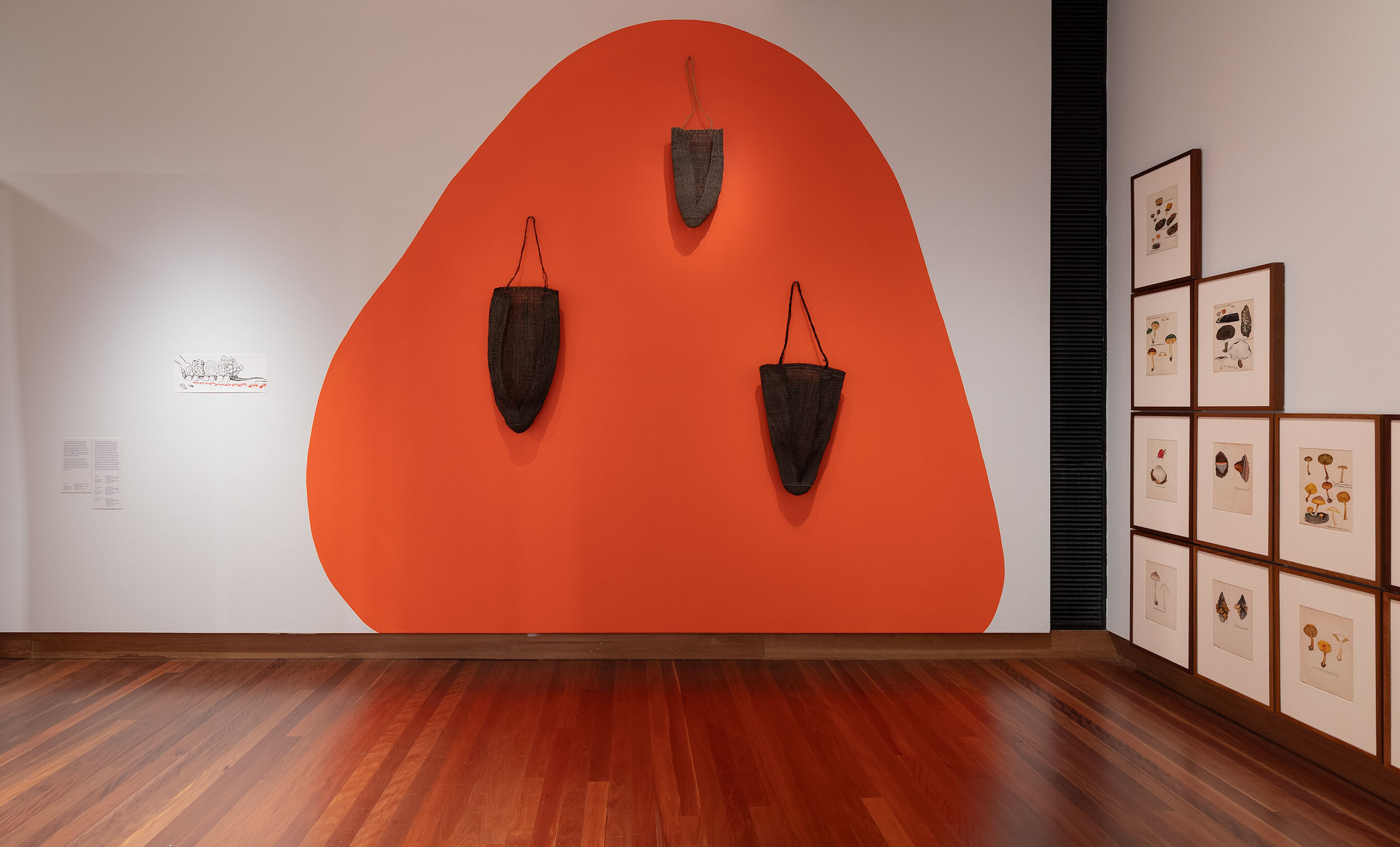 <p>Installation view of A velvet ant, a flower and a bird, Potter Museum of Art, the University of Melbourne, 2026. Photo: Christian Capurro.</p>