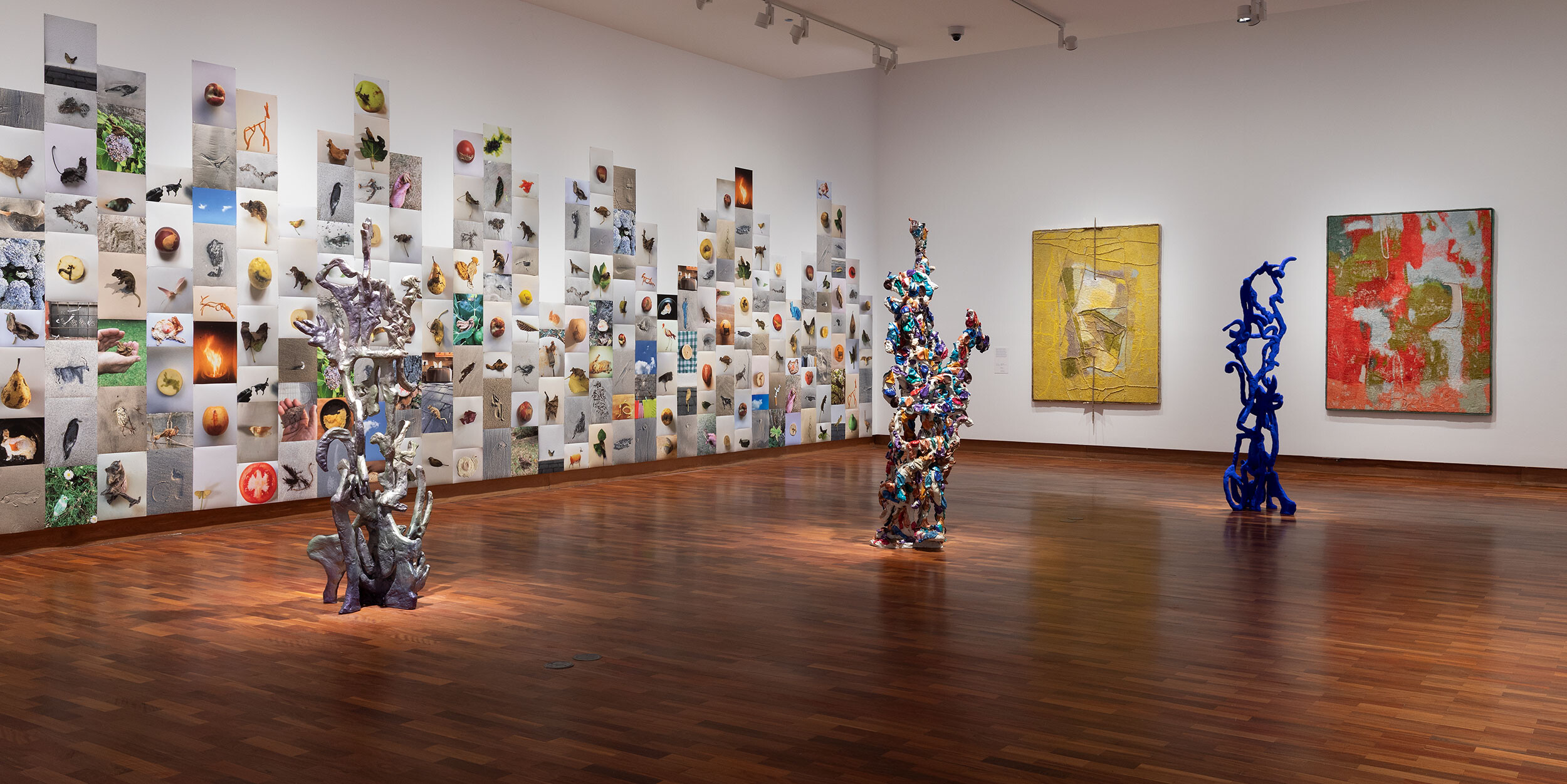 <p>Installation view of <em>A velvet ant, a flower and a bird</em>, Potter Museum of Art, the University of Melbourne, 2026. Photo: Christian Capurro.</p>