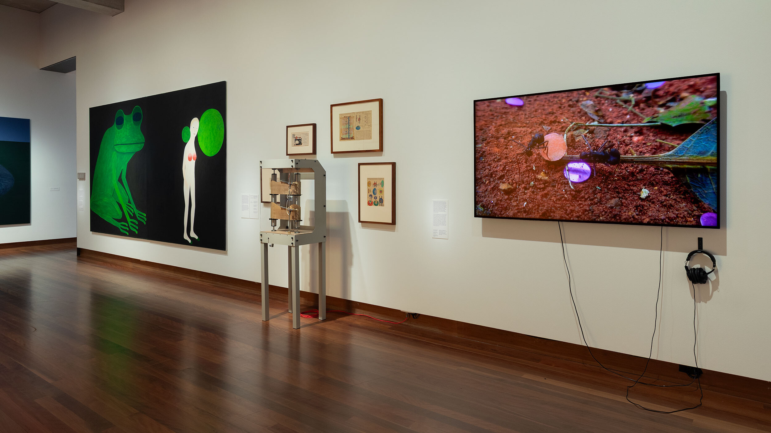 <p>Installation view of <em>A velvet ant, a flower and a bird</em>, Potter Museum of Art, the University of Melbourne, 2026. Photo: Christian Capurro.</p>