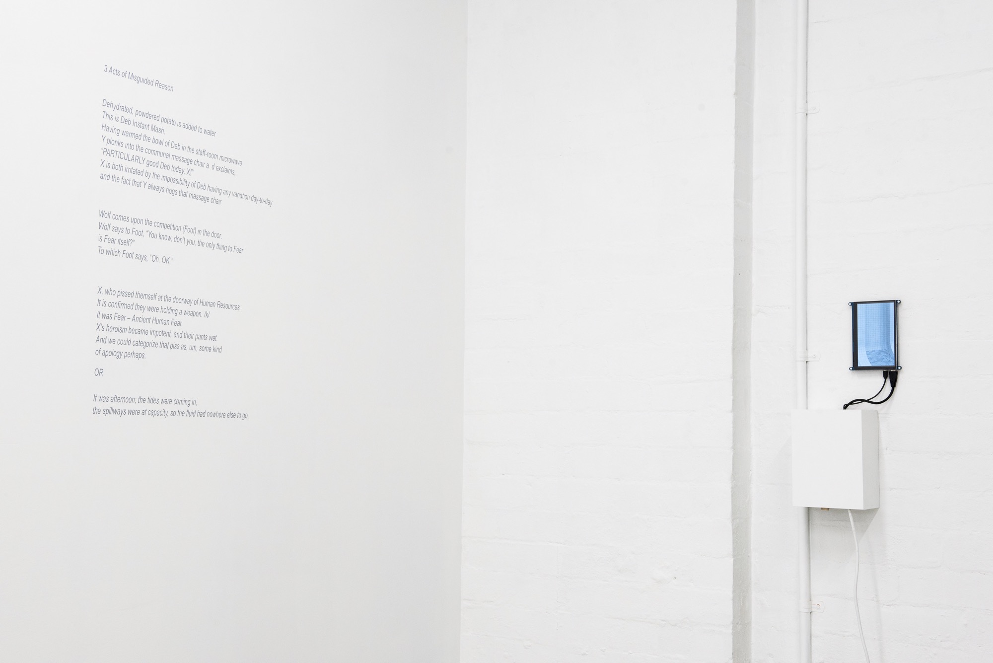Alex Hobba, <em>A Gun Went Off in Human Resources</em>,​ installation shot.