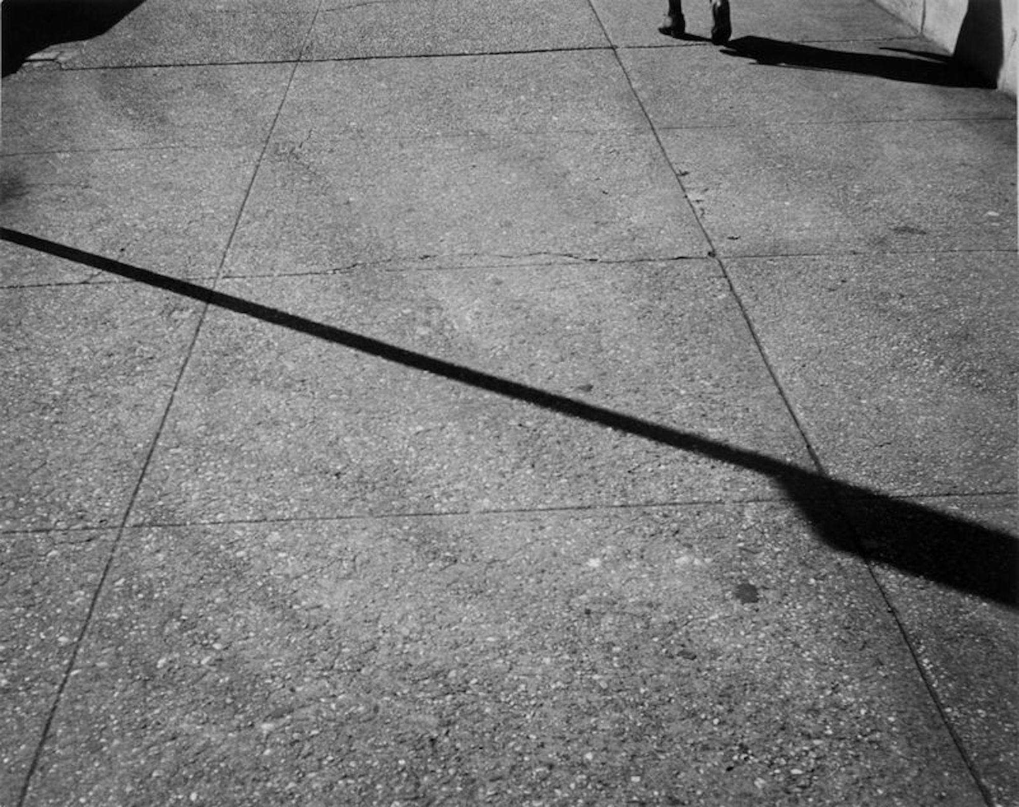 Andy Warhol, born Pittsburgh, Pennsylvania 1928, died New York City, New York 1987, <em>Shadow on sidewalk</em>, 1983, New York, gelatin silver photograph, 20.2 x 25.5cm (image & sheet); V.B. F. Young Bequest Fund and d’Auvergne Boxall Bequest Fund 2018, Art Gallery of South Australia, Adelaide, © Andy Warhol Foundation for the Visual Arts, Inc. ARS/Copyright Agency.