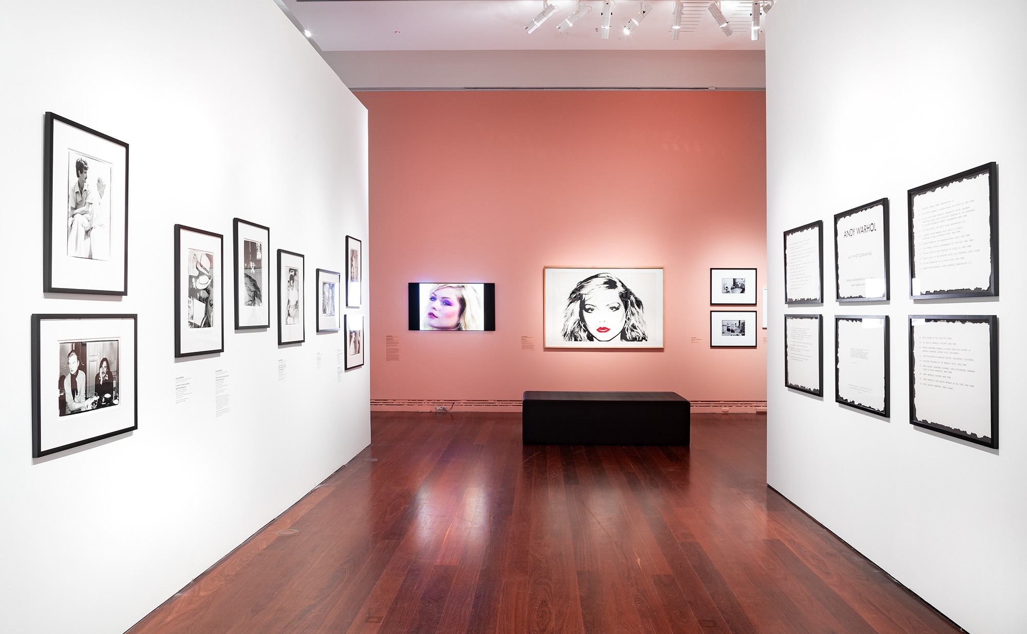 Installation view of <em>Andy Warhol and Photography: A Social Media</em>, Art Gallery of South Australia, Adelaide; photo: Saul Steed