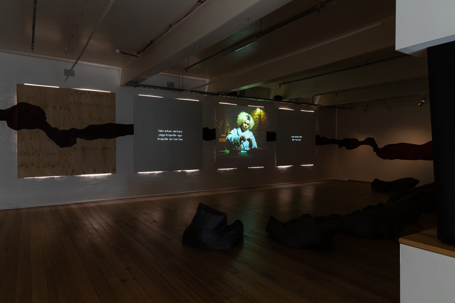 <p>Gabi Briggs, <em>ARKAN & IRBELA</em>, installation view, 2024. Photography by Janelle Low.</p>