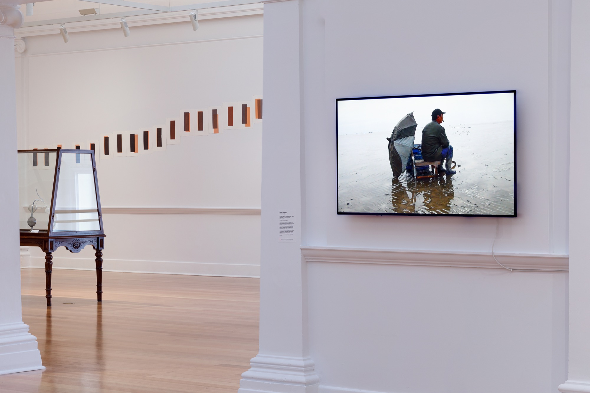 Barbara Campbell, <em>Chongming Dao Boustrophedon</em>, 2016, video, duration: 13 minutes 50 seconds. Installation view of work in <em>Barbara Campbell—ex avibus</em>, 2022, Geelong Gallery, © Barbara Campbell. Photographer: Andrew Curtis