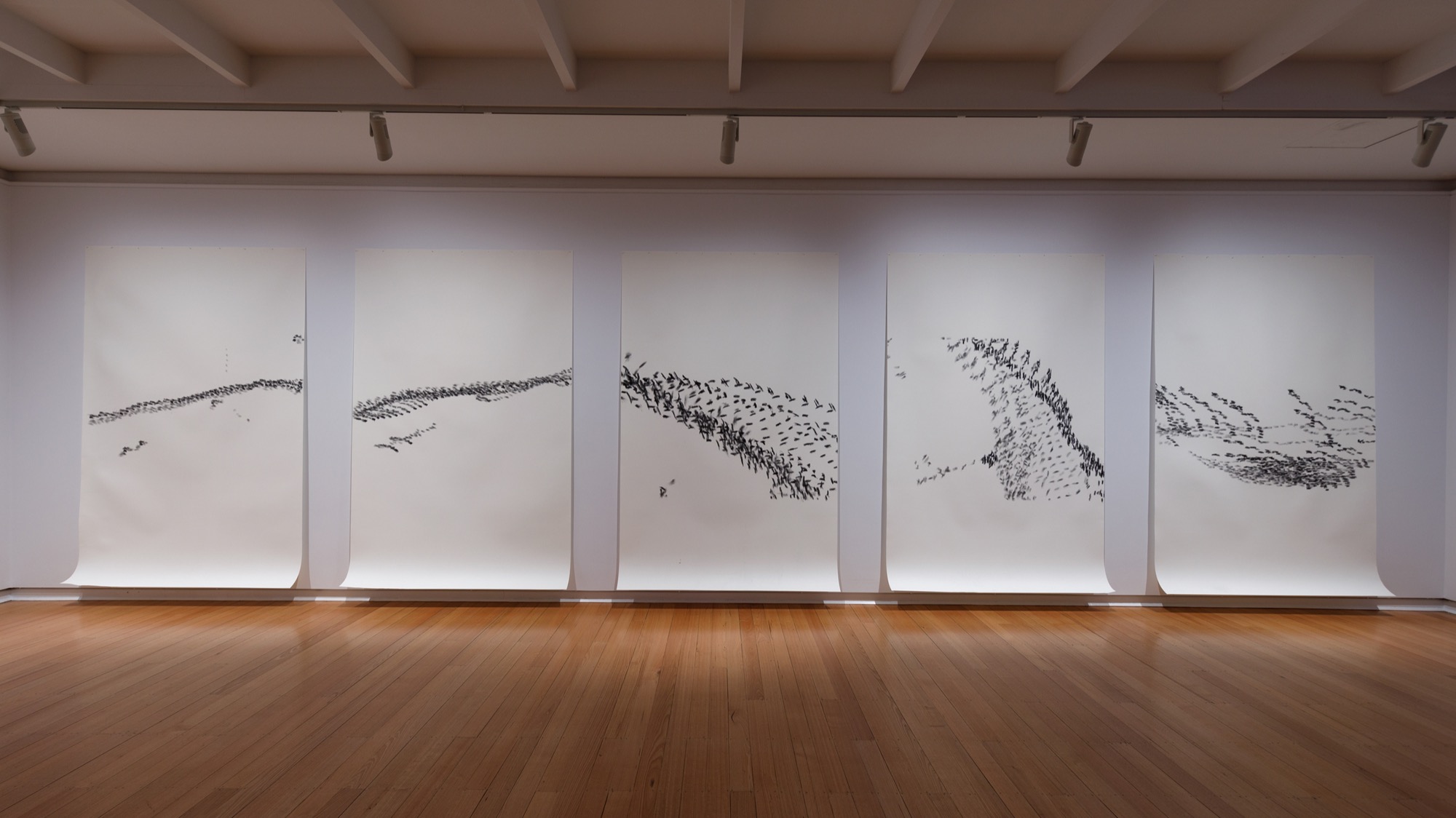 Barbara Campbell, <em>You’ve Got A Rippa</em>, 2014; <em>There You Are, You Won’t Get Much Better Than That</em>, 2014; <em>Wonderful</em>, 2014; <em>Well There You Are</em>, 2014; <em>Well How About That</em>, 2014, charcoal on Stonehenge paper. Installation view of work in <em>Barbara Campbell—ex avibus</em>, 2022, Geelong Gallery, © Barbara Campbell. Photographer: Andrew Curtis