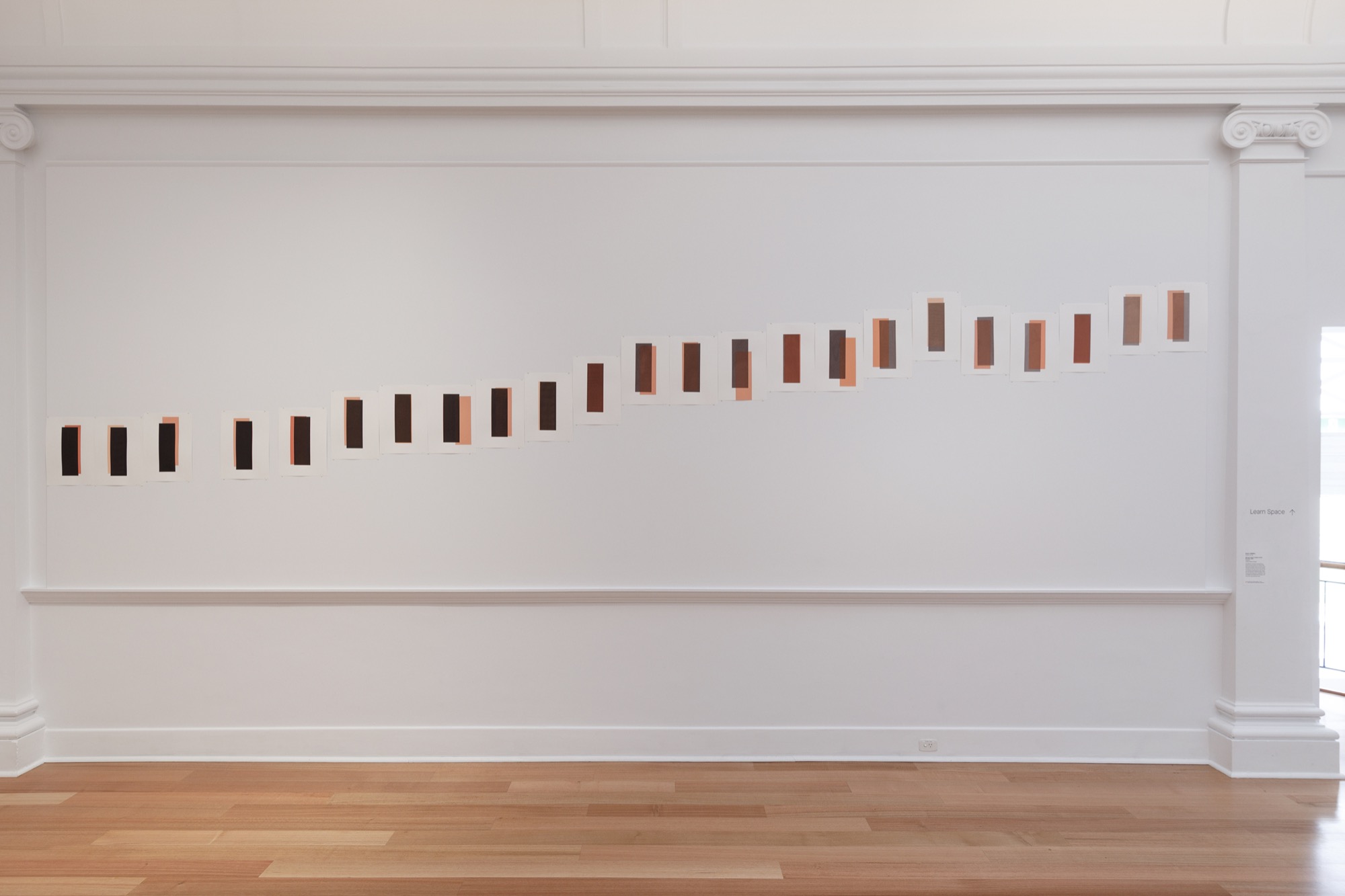 Barbara Campbell, <em>Soft Part Colours, Eastern Curlew Bill series</em>, 2018, screenprints. Installation view of work in <em>Barbara Campbell—ex avibus</em>, 2022, Geelong Gallery, © Barbara Campbell. Photographer: Andrew Curtis