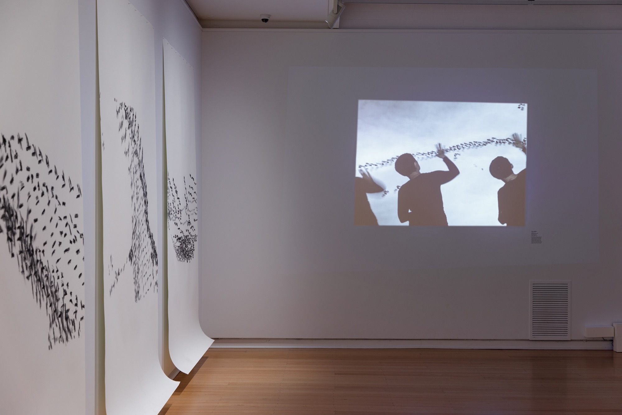 Barbara Campbell, <em>Well There You Are</em>, 2015. Single-channel video. Installation view of work in <em>Barbara Campbell—ex avibus</em>, 2022, Geelong Gallery, © Barbara Campbell. Photographer: Andrew Curtis