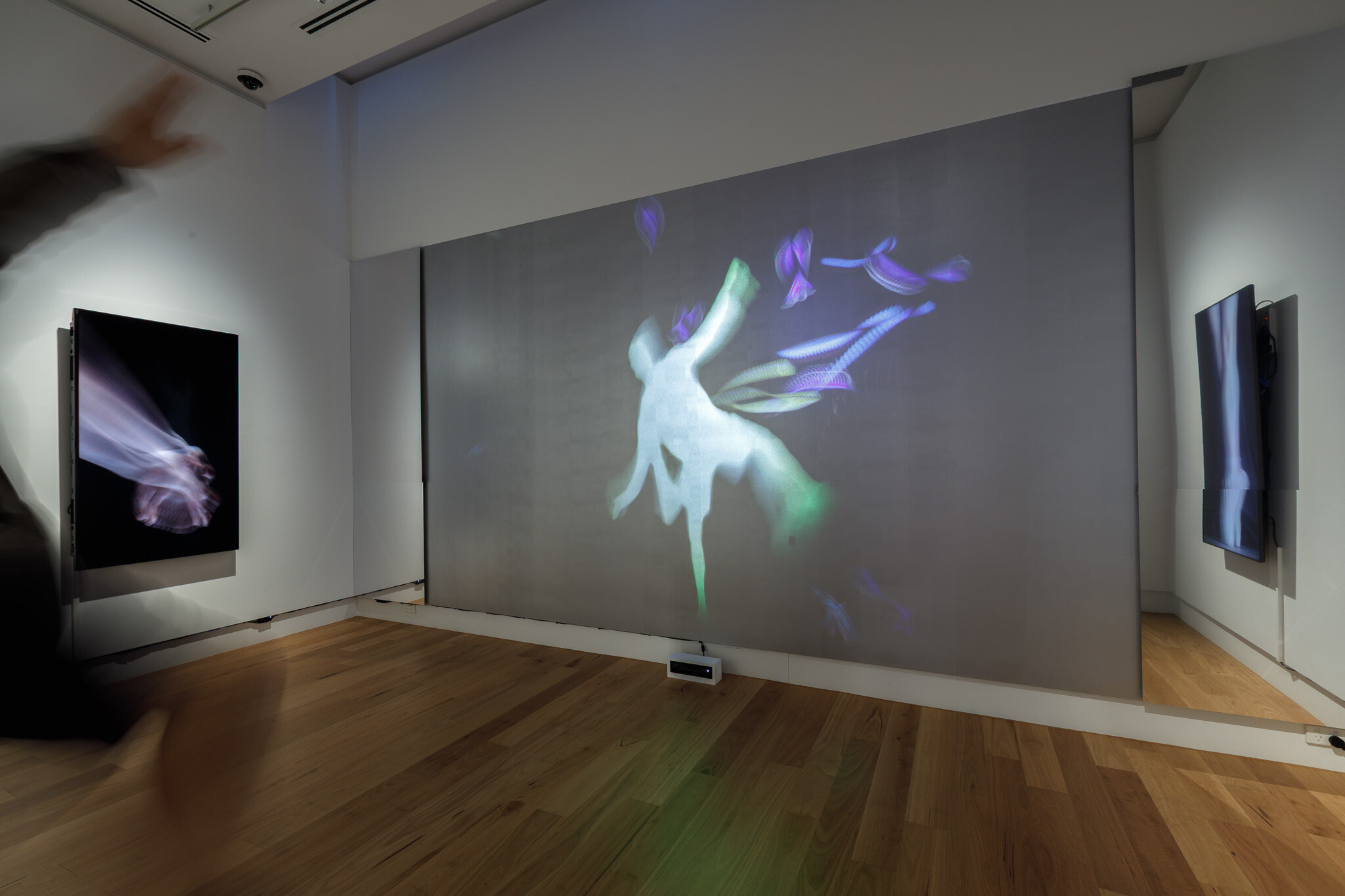 <p>Installation view of <em>Beyond the Ballerina</em>, Wyndham Art Gallery, 2025. Photo: James Henry.</p>
