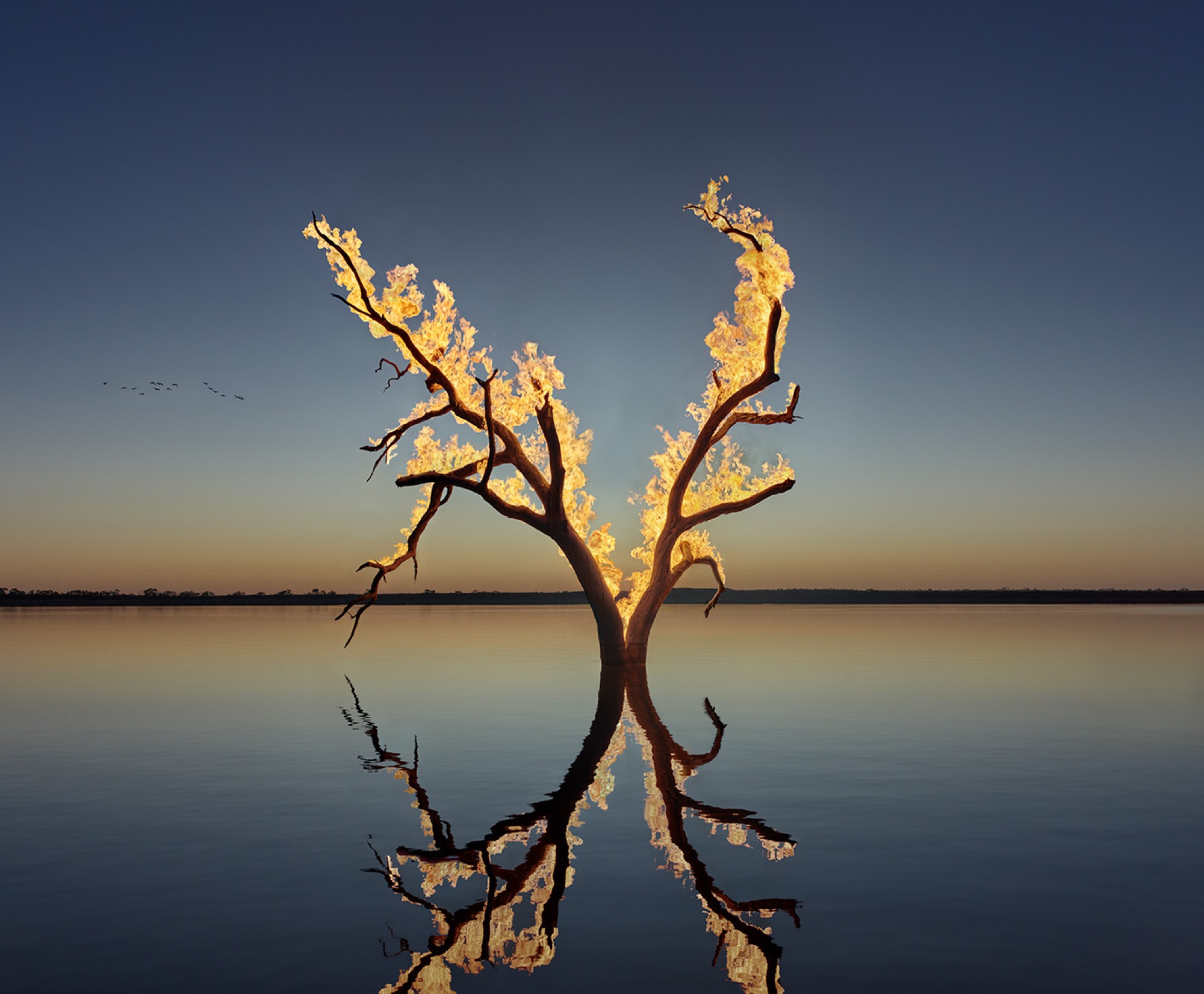 Murray Fredericks, <em>Blaze #22, Kangaroo Lake, Great Darling Anabranch</em>, 2023. Digital pigment print on cotton rag, edition of 7 + 2 A/P, 120 x 150 cm. Courtesy of the artist and ARC ONE Gallery