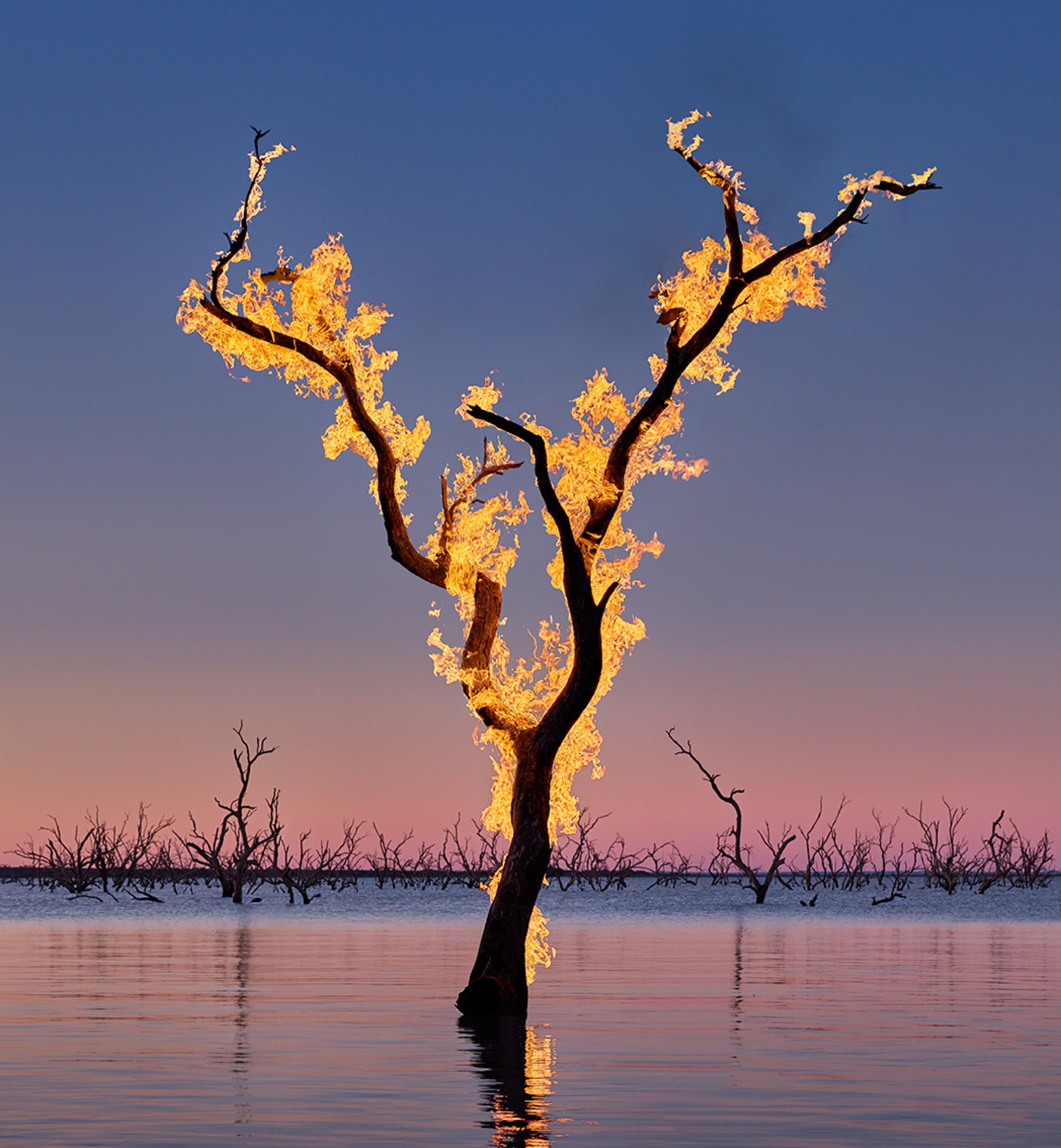Murray Fredericks, <em>Blaze #17, Lake Pamamaroo, Menindee</em>, 2022. Digital pigment print on cotton rag, edition of 25 + 2 A/P, 90 x 83 cm. Courtesy of the artist and ARC ONE Gallery