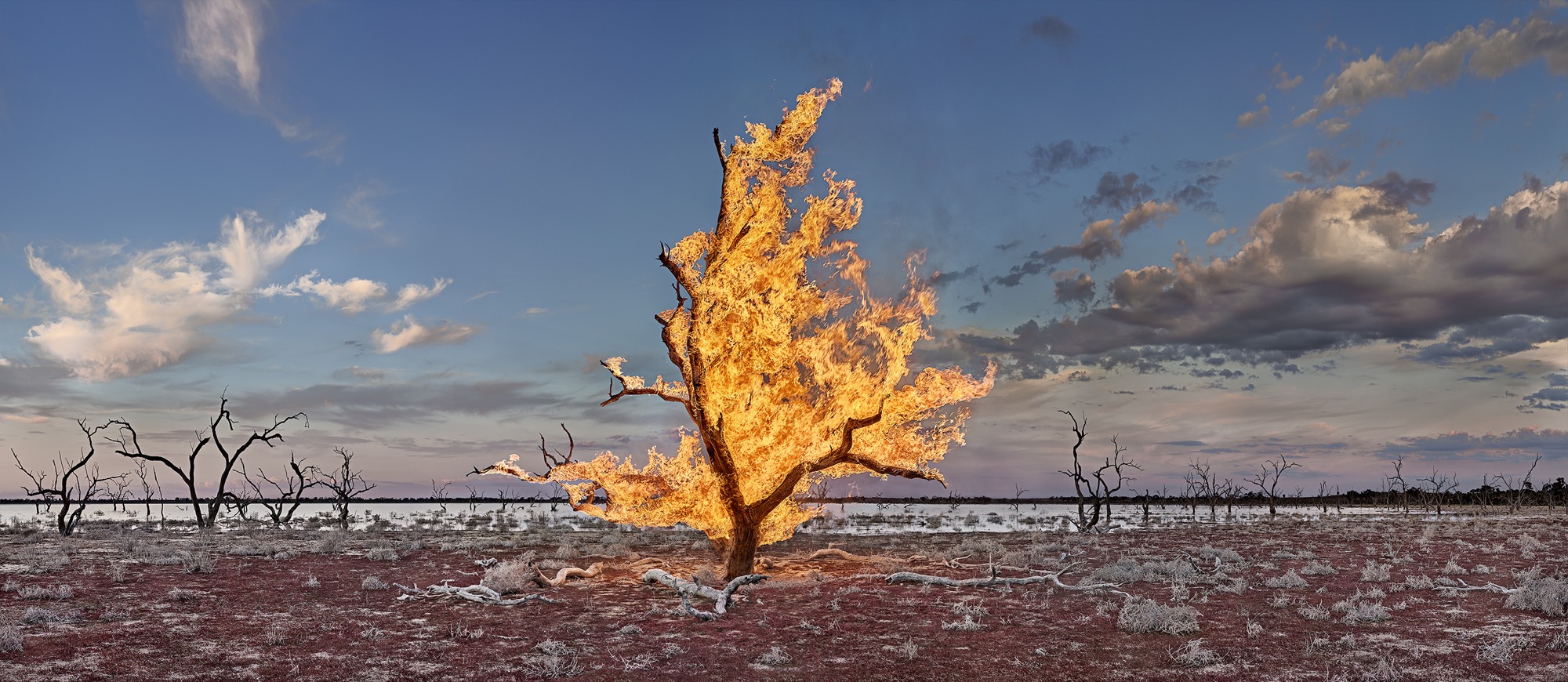 Murray Fredericks, <em>Blaze #16, Packers Lake, Great Darling Anabranch</em>, 2022. Digital pigment print on cotton rag, edition of 5 + 2 A/P, 106 x 270 cm. Courtesy of the artist and ARC ONE Gallery