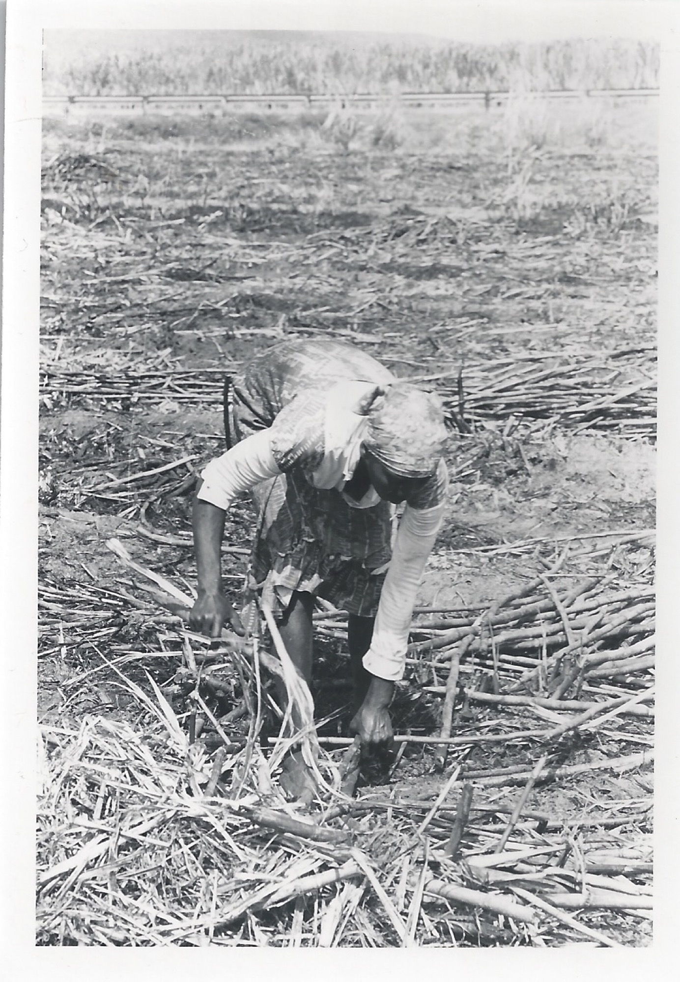 Still from Sistren Theatre Collective, <em>Sweet Sugar Rage</em>, 1985, 45:00min. Courtesy of the artists and Cinenova Distribution.