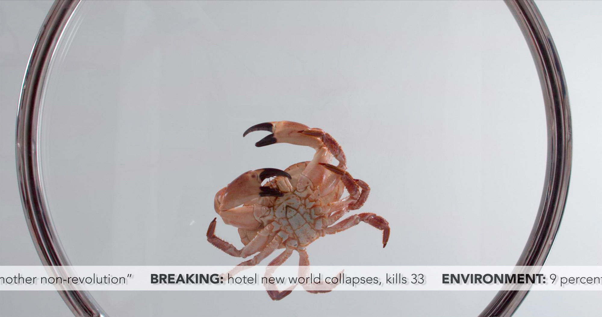 Camille Henrot, <em>Saturday</em>, 2017, still, 3D video, colour, sound, 19 min 32 sec, ed. 9/9\<br />
Purchased, NGV Supporters of Contemporary Art, 2019. Courtesy of Metro Pictures