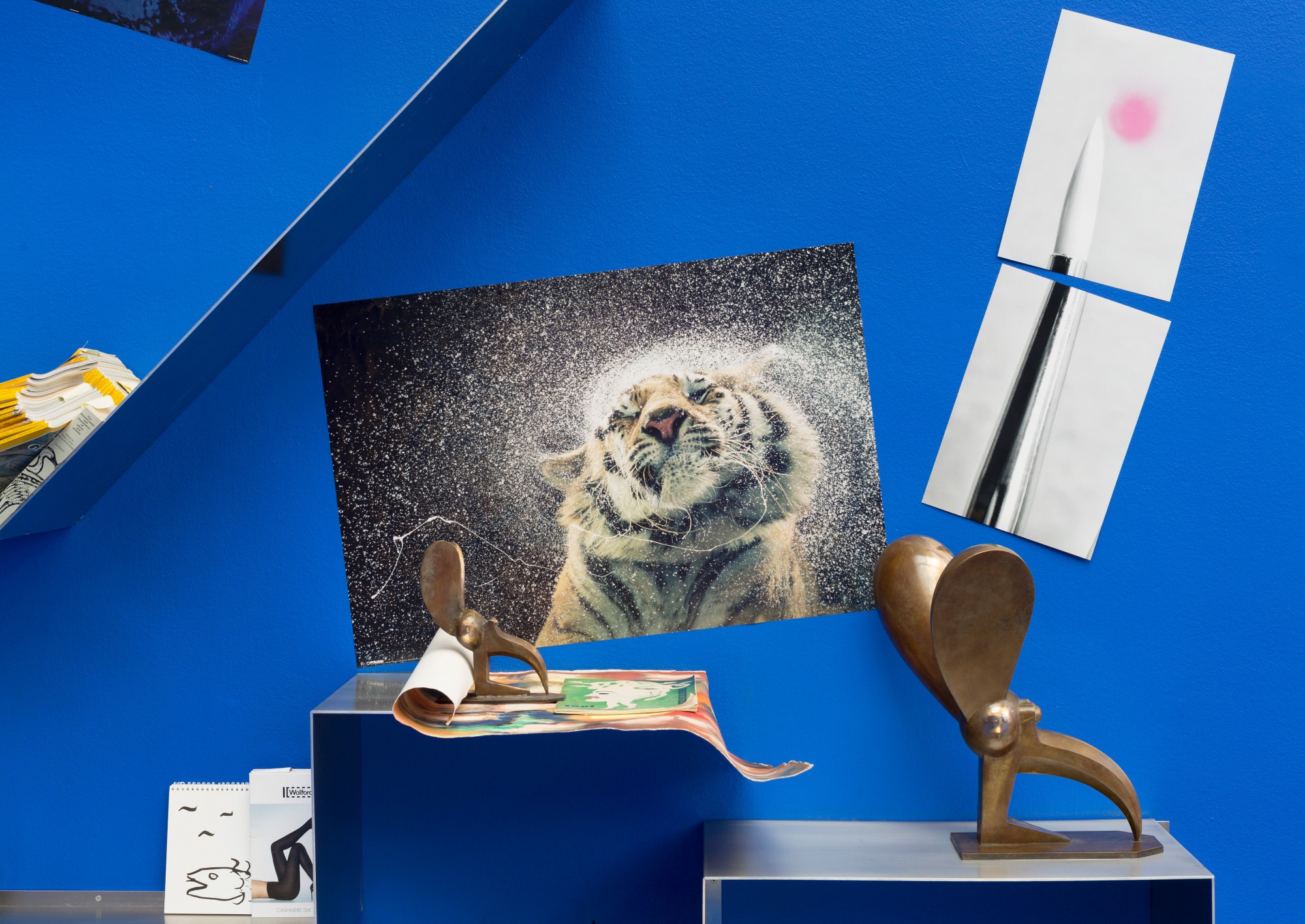 Camille Henrot, <em>The Pale Fox</em>, 2014, Installation view at Kunsthal Charlottenborg, Copenhagen, 2014. Image courtesy of kamel mennour, Paris and Johann König, Berlin. Photo: Anders Sune Berg.