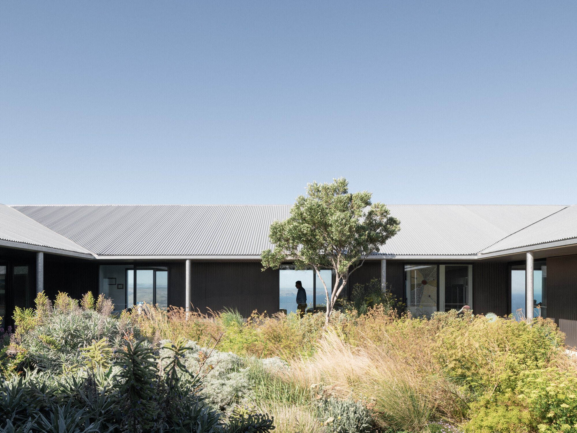 <p>View of Carrickalinga Shed courtyard, 2023, by Architects Ink and Landskap. Photo by Thurston Empson.</p>