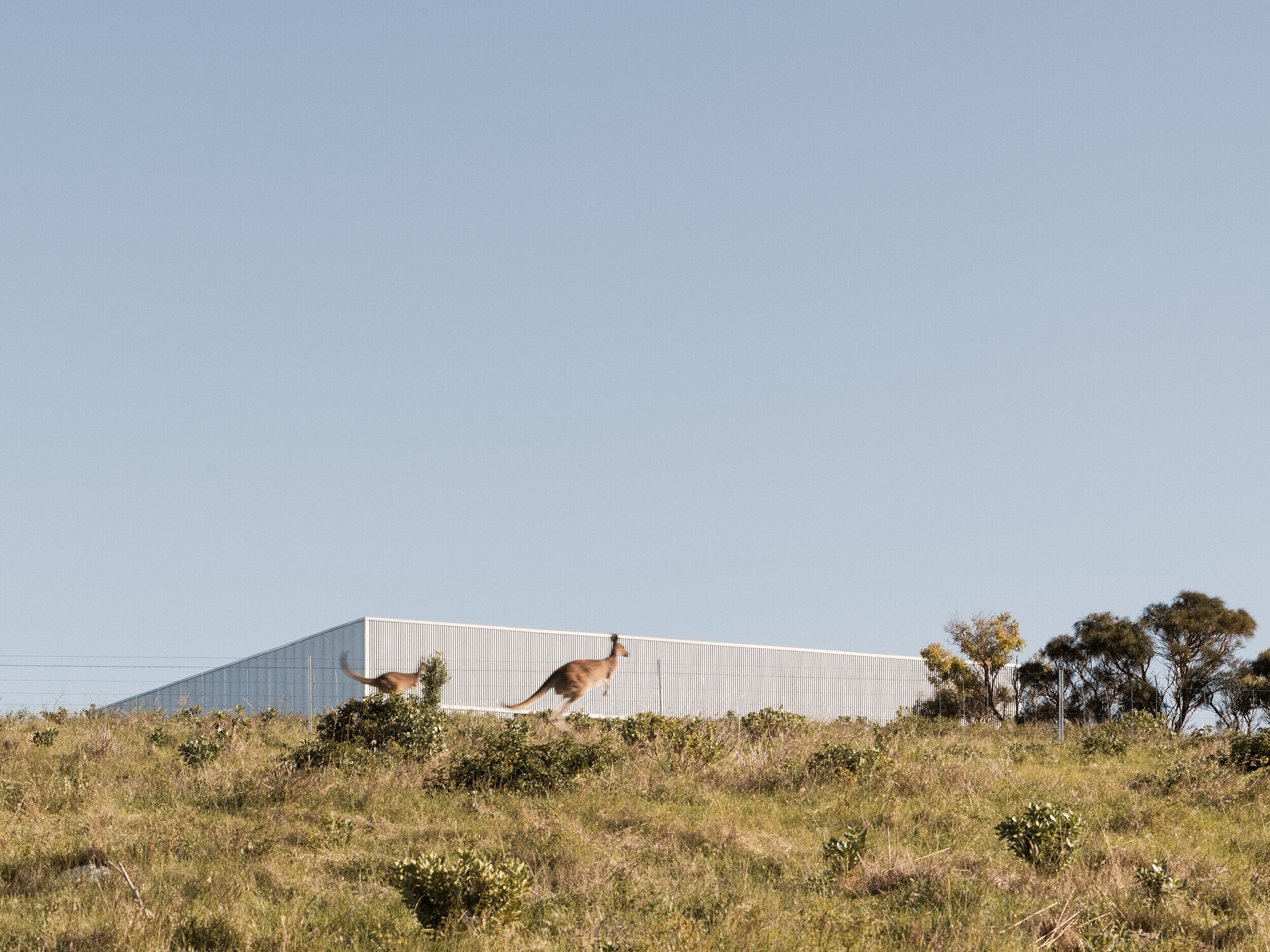 <p>Exterior view of Carrickalinga Shed, 2023 by Architects Ink and Landskap. Photo by Thurston Empson.</p>