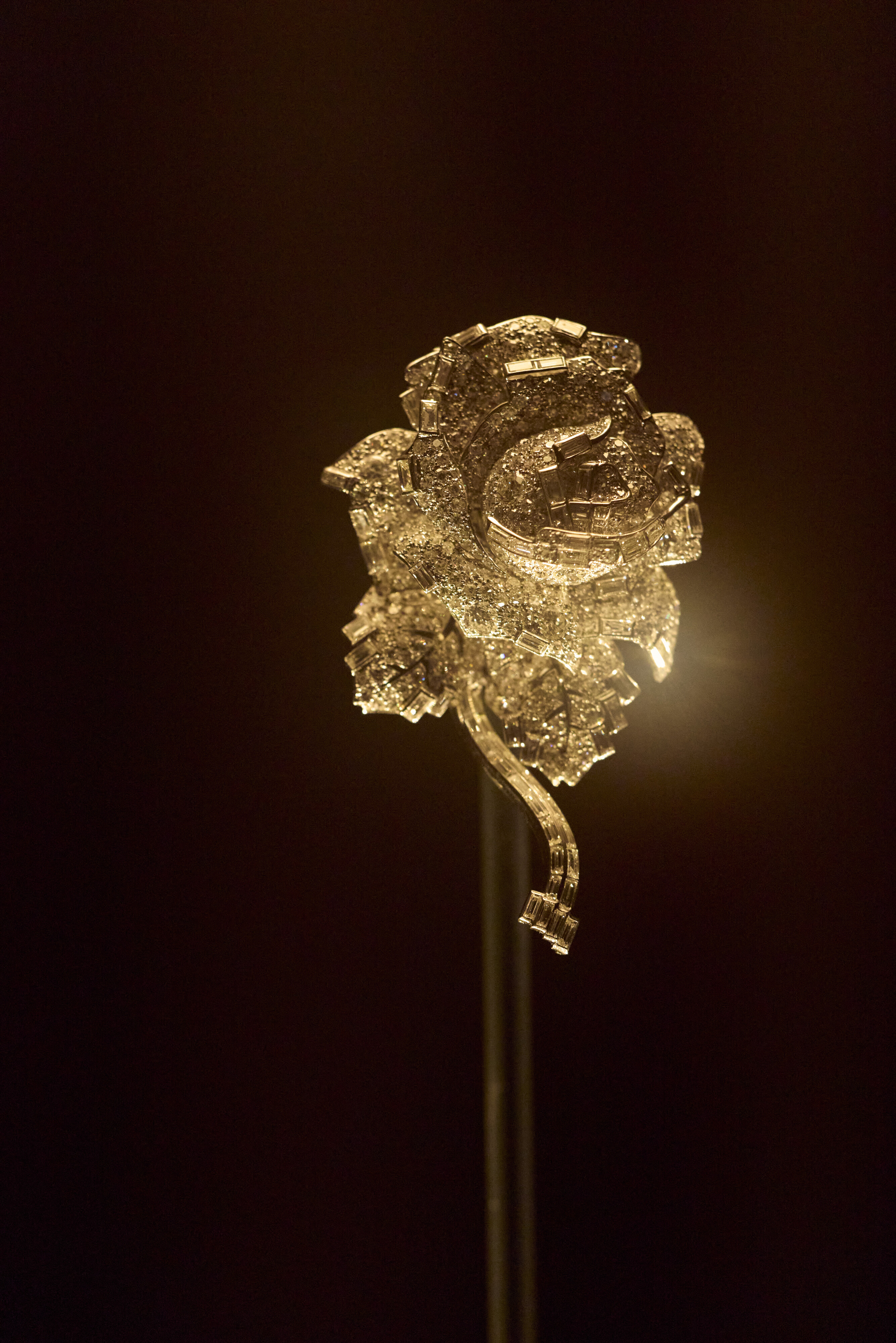 <p>Installation view of <em>CARTIER </em>on display from 12 June to 4 October 2026, at NGV International, Melbourne. Photo: Lillie Thompson.</p>