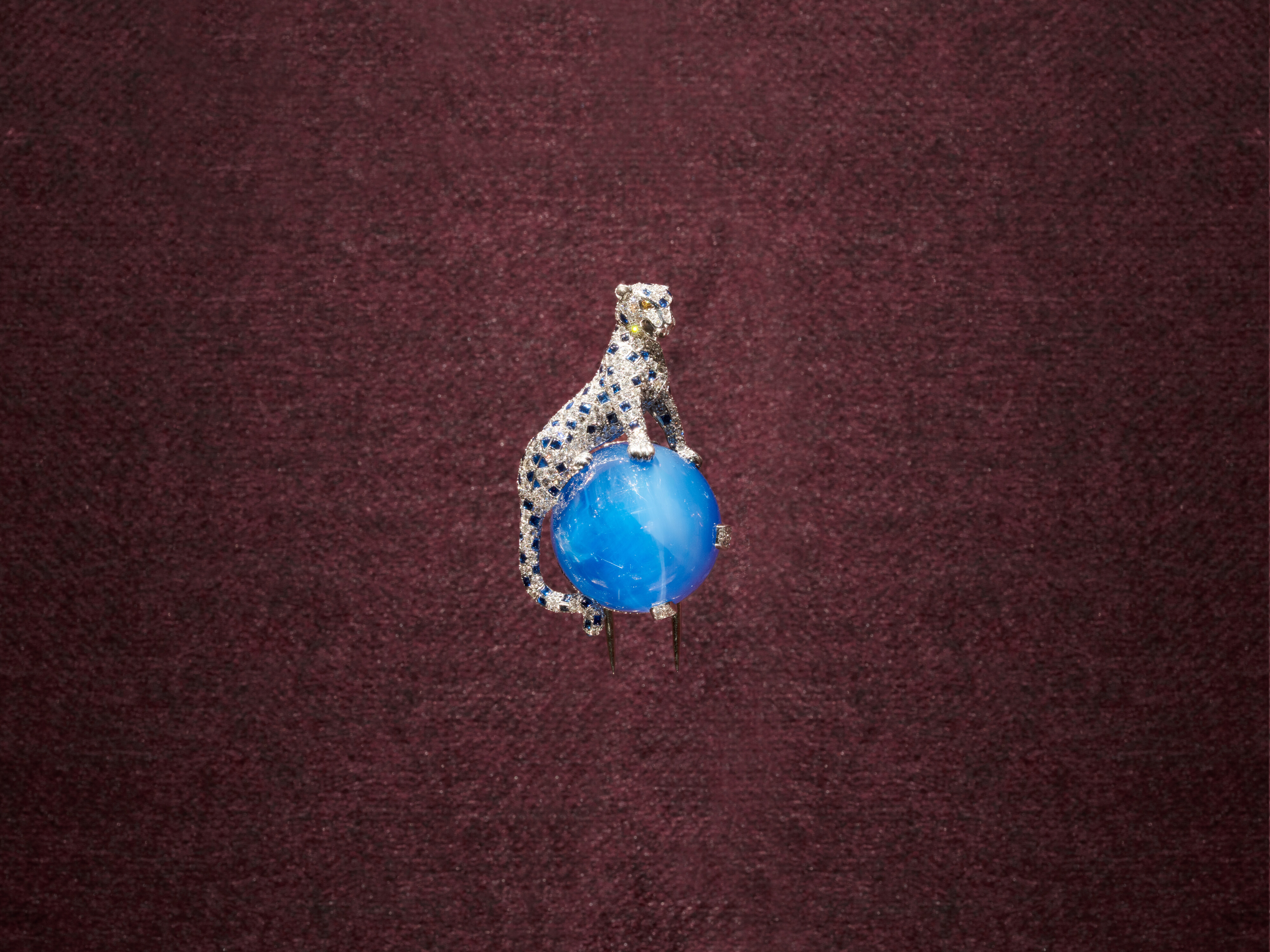 <p>Installation view of <em>CARTIER </em>on display from 12 June to 4 October 2026, at NGV International, Melbourne. Photo: Felix Forest.</p>