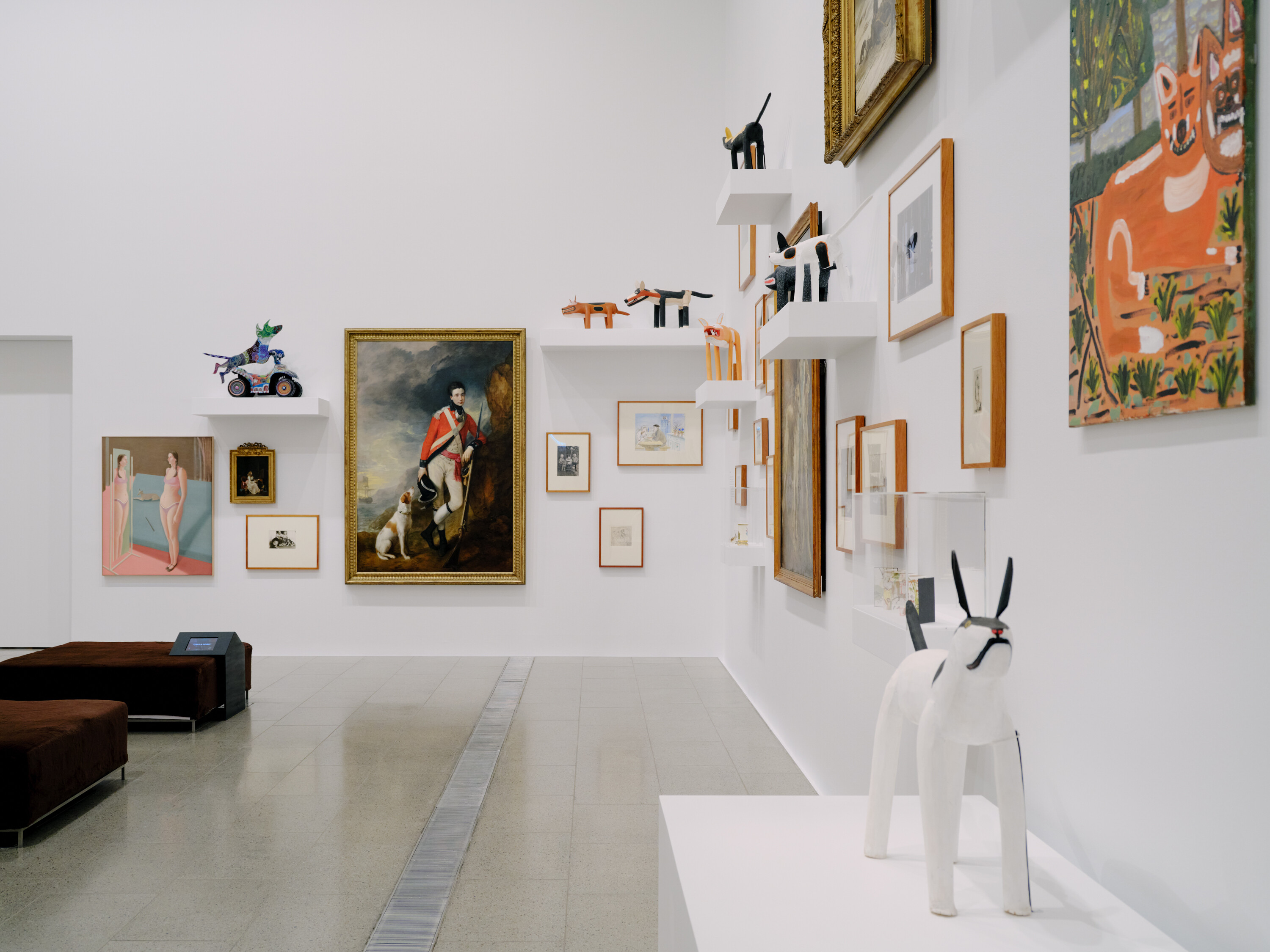 <p>Installation view of <em>Cats & Dogs</em> on display at The Ian Potter Centre: NGV Australia from 1 November 2024 to 20 July 2025. Photo: Tom Ross</p>
