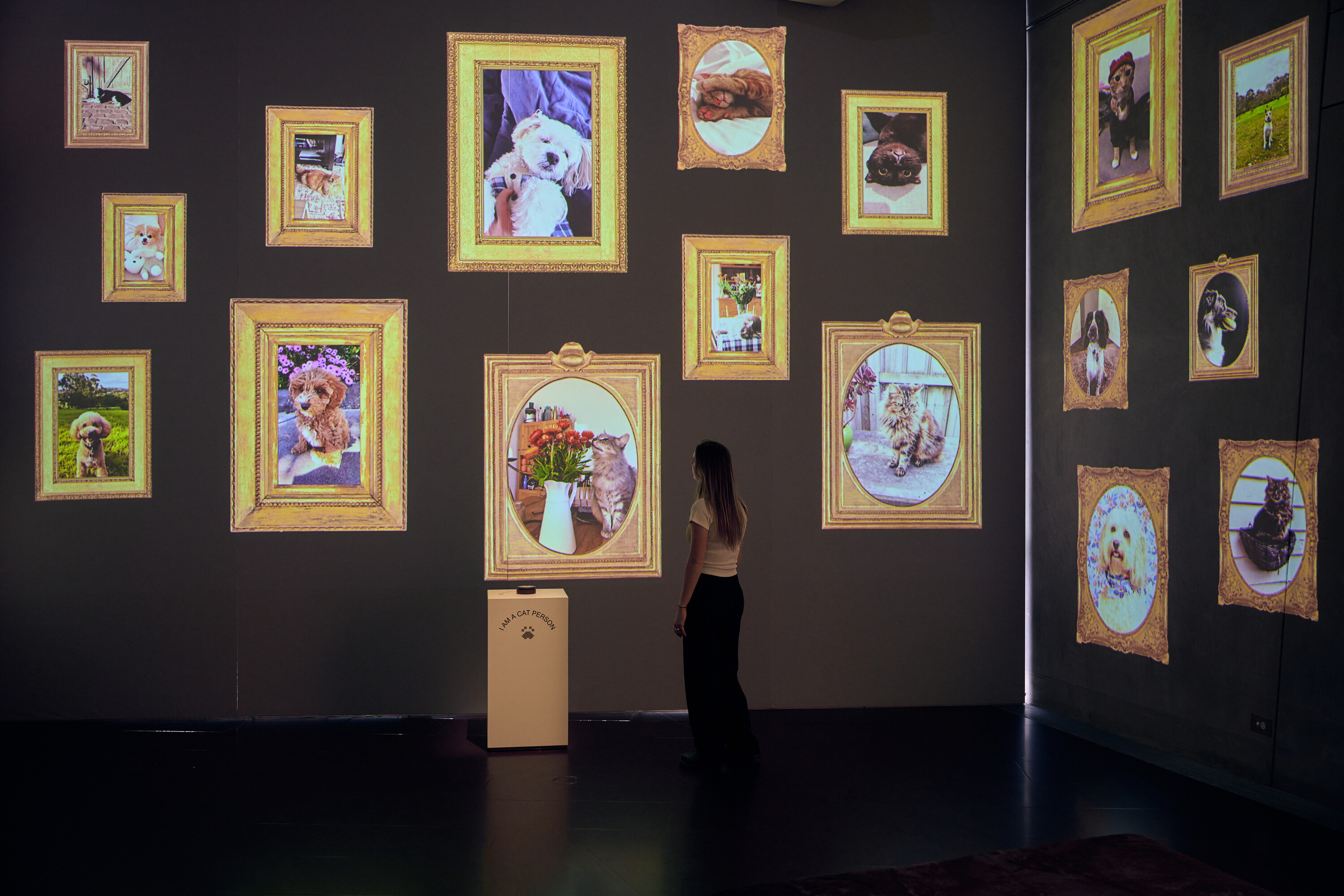 <p>Installation view of <em>Pet Portrait Gallery</em> on display in <em>Cats & Dogs</em> at The Ian Potter Centre: NGV Australia from 1 November 2024 to 20 July 2025. Photo: Eugene Hyland</p>