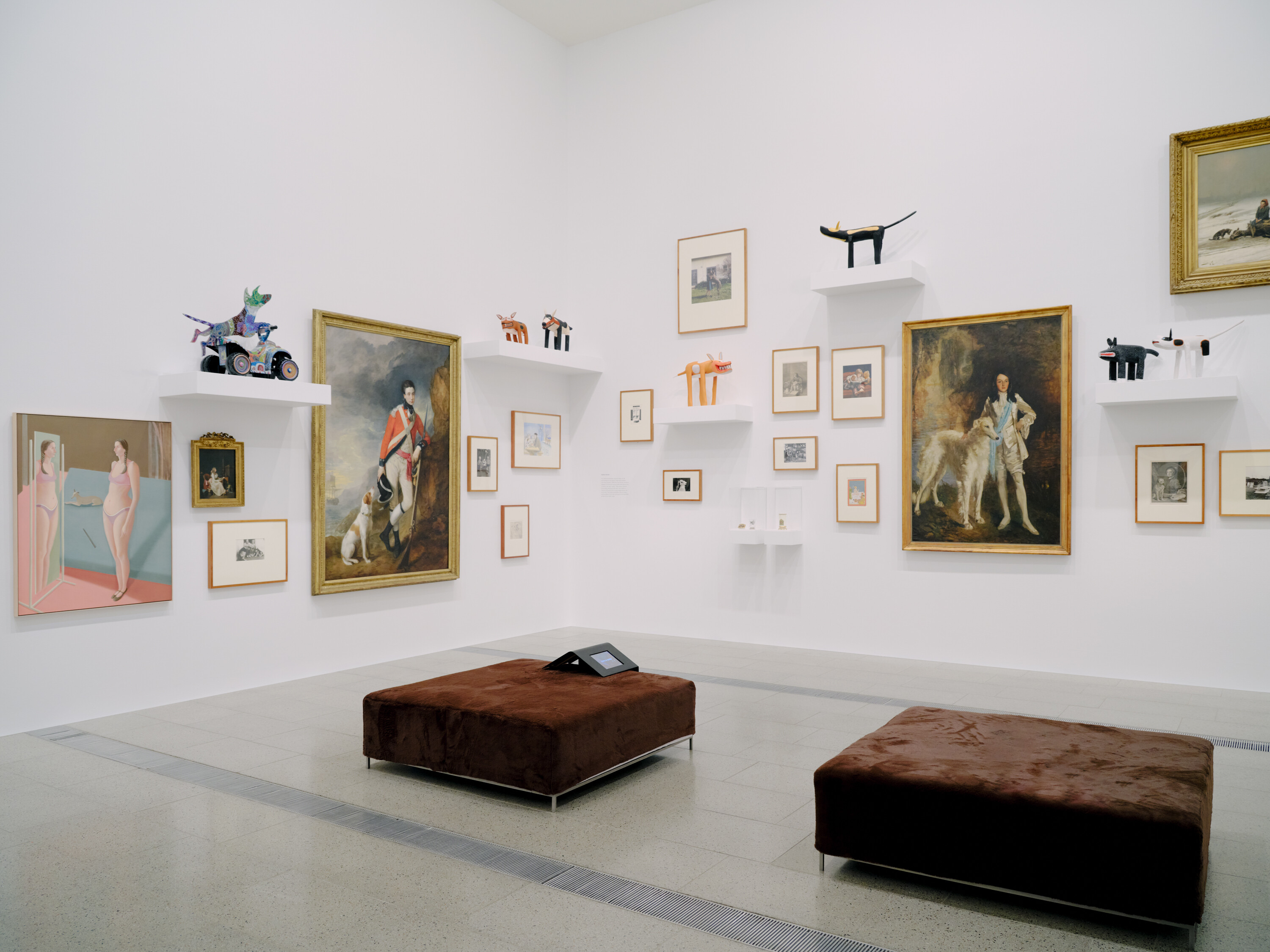 <p>Installation view of <em>Cats & Dogs</em> on display at The Ian Potter Centre: NGV Australia from 1 November 2024 to 20 July 2025. Photo: Tom Ross</p>