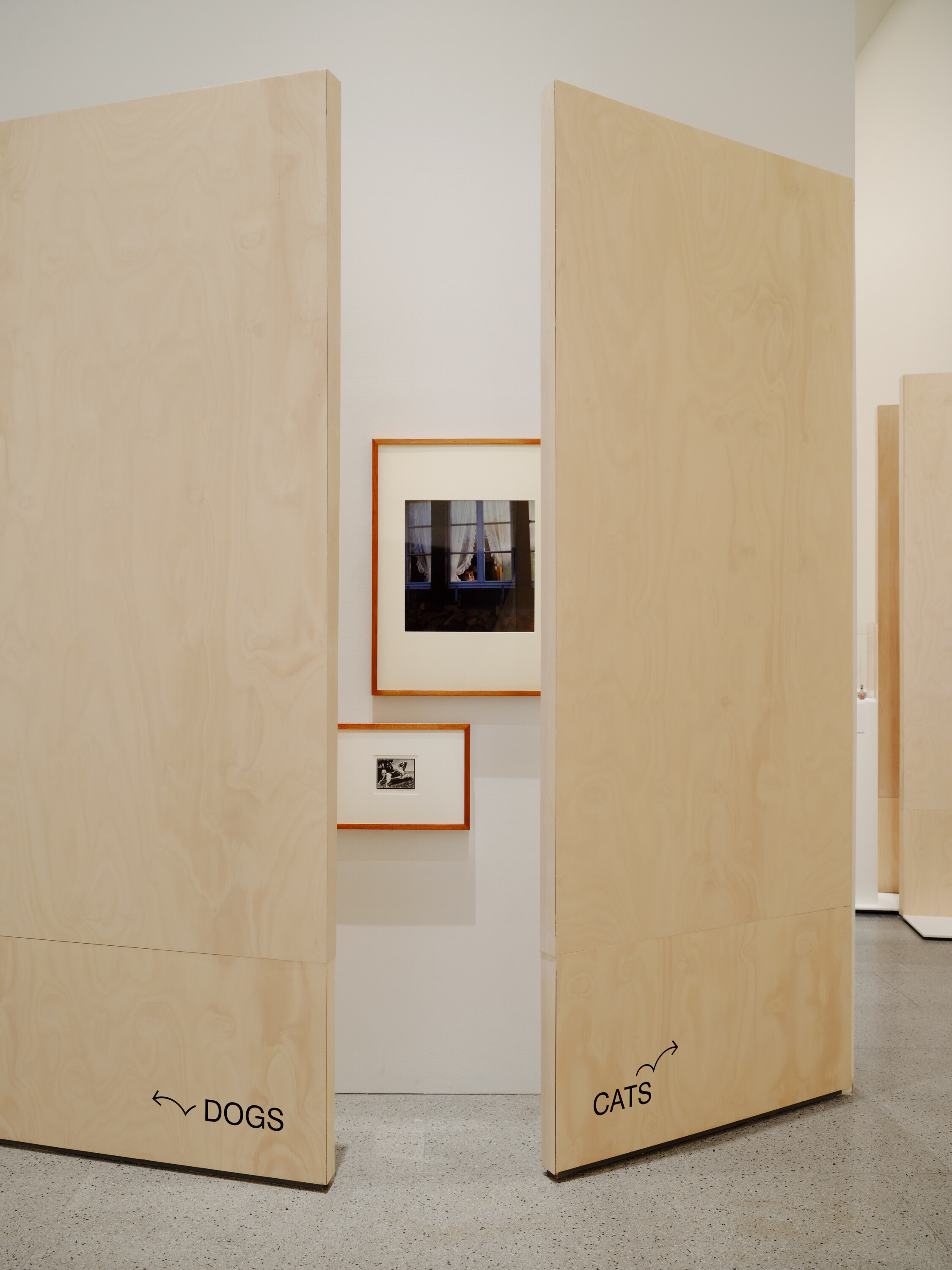 <p>Installation view of <em>Cats & Dogs</em> on display at The Ian Potter Centre: NGV Australia from 1 November 2024 to 20 July 2025. Photo: Tom Ross</p>