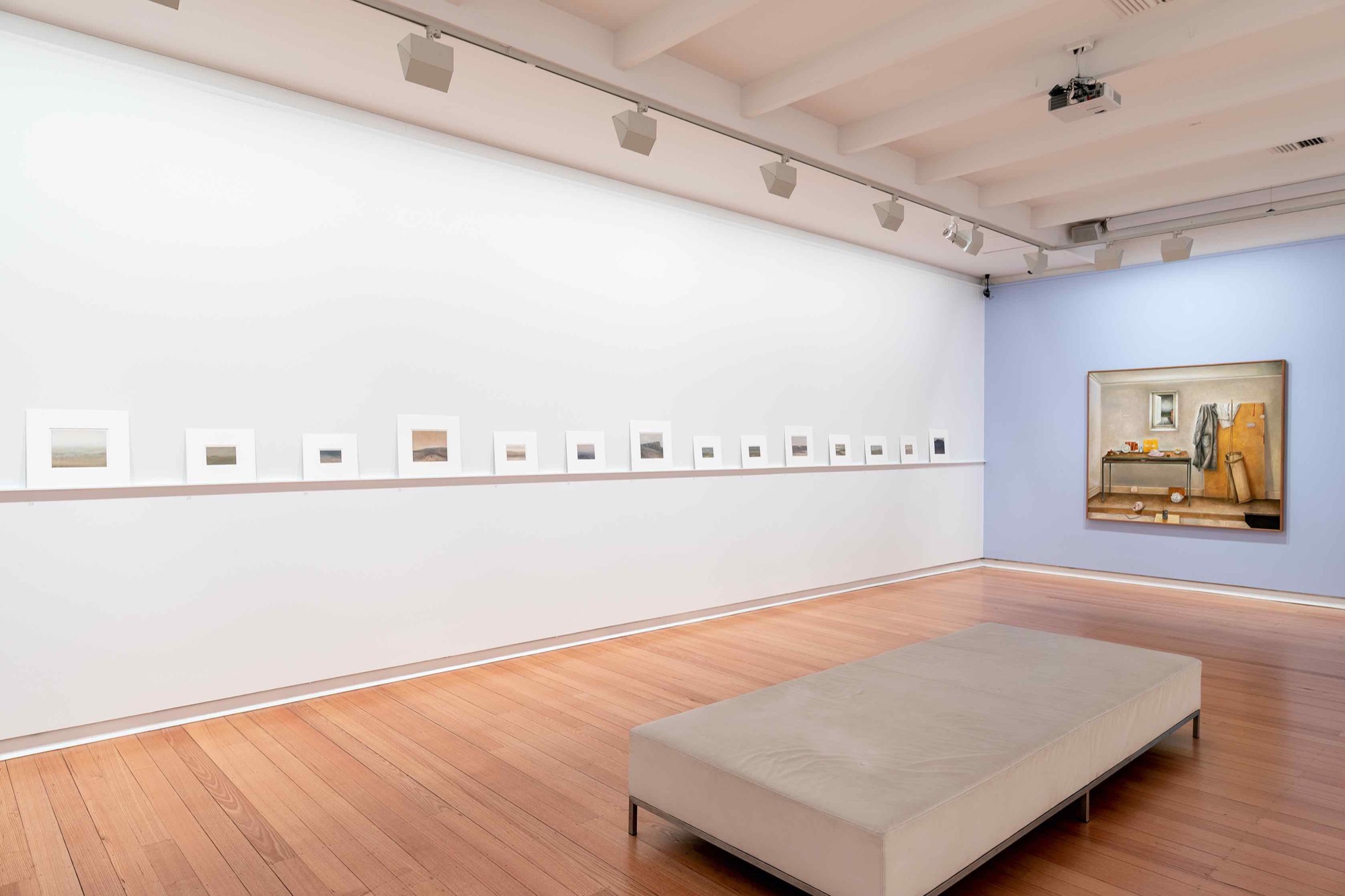 <em>Collection leads: John Scurry—small paintings</em>, 2019, installation view, Geelong Gallery. Photograph: Andrew Curtis.