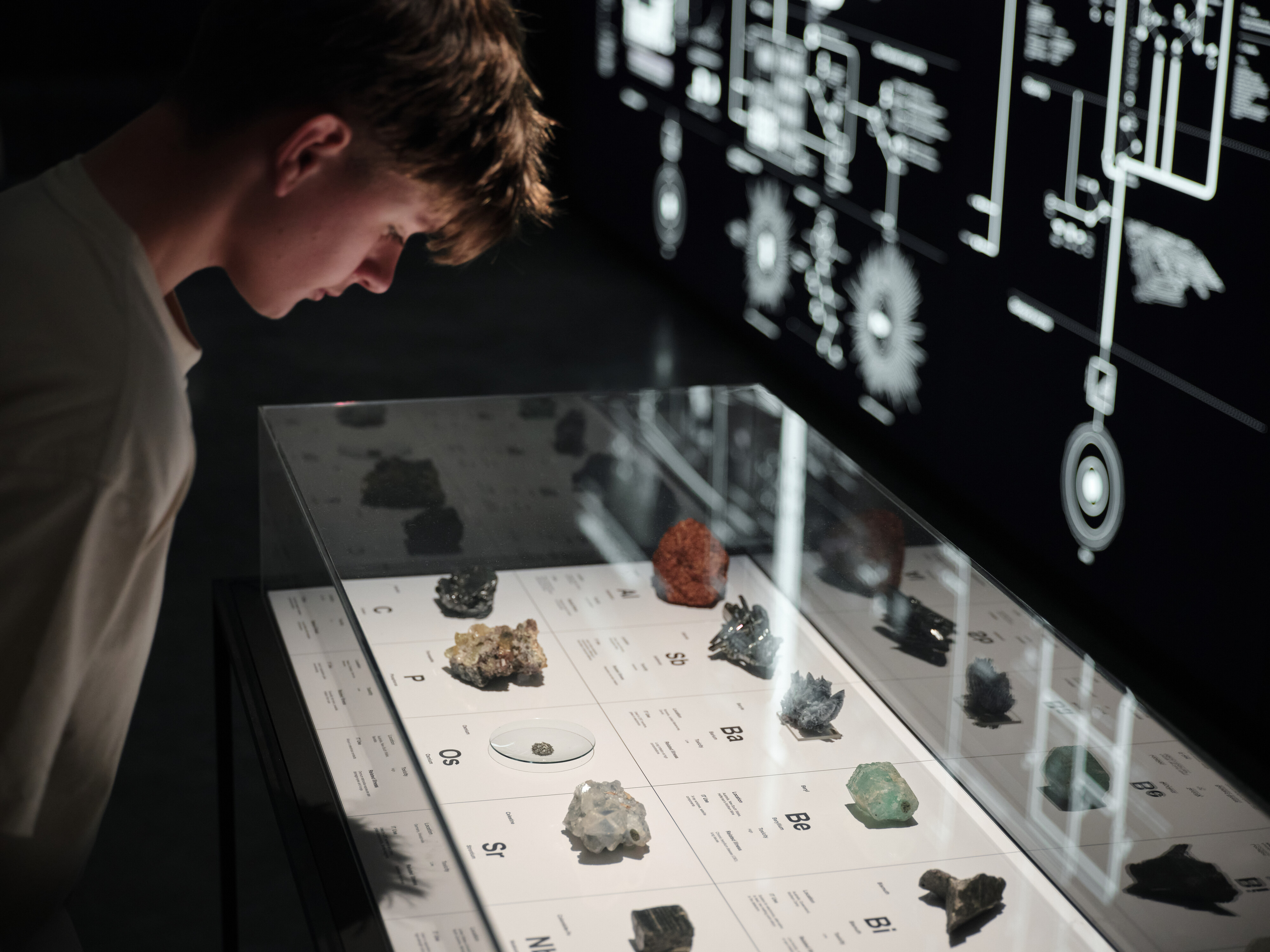 <p>Kate Crawford and Vladan Joler, Anatomy of an AI System (detail), 2018, installation view, Data Dreams: Art and AI, Museum of Contemporary Art Australia, Sydney, 2025, digital print on lightbox, mineral samples, dissected Amazon Echo device, image courtesy the artists and Museum of Contemporary Art Australia © the artists, photograph: Hamish McIntosh</p>