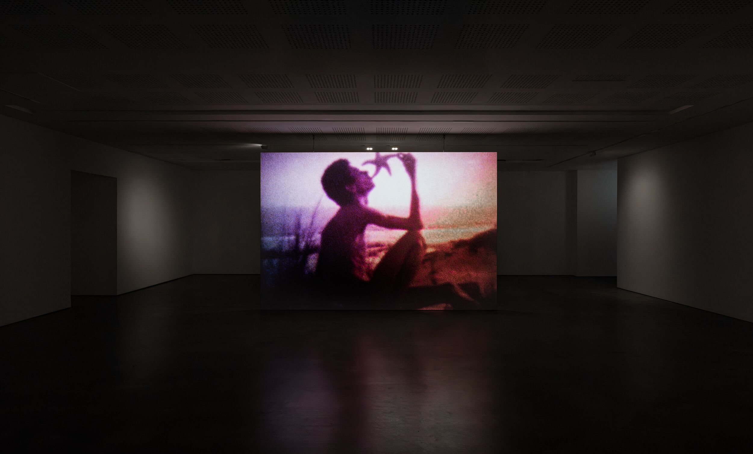 <p>Installation view of Derek Jarman, <em>My Very Beautiful Movie</em>, 1974, moving iimage, Photo: Jacquie Manning</p>