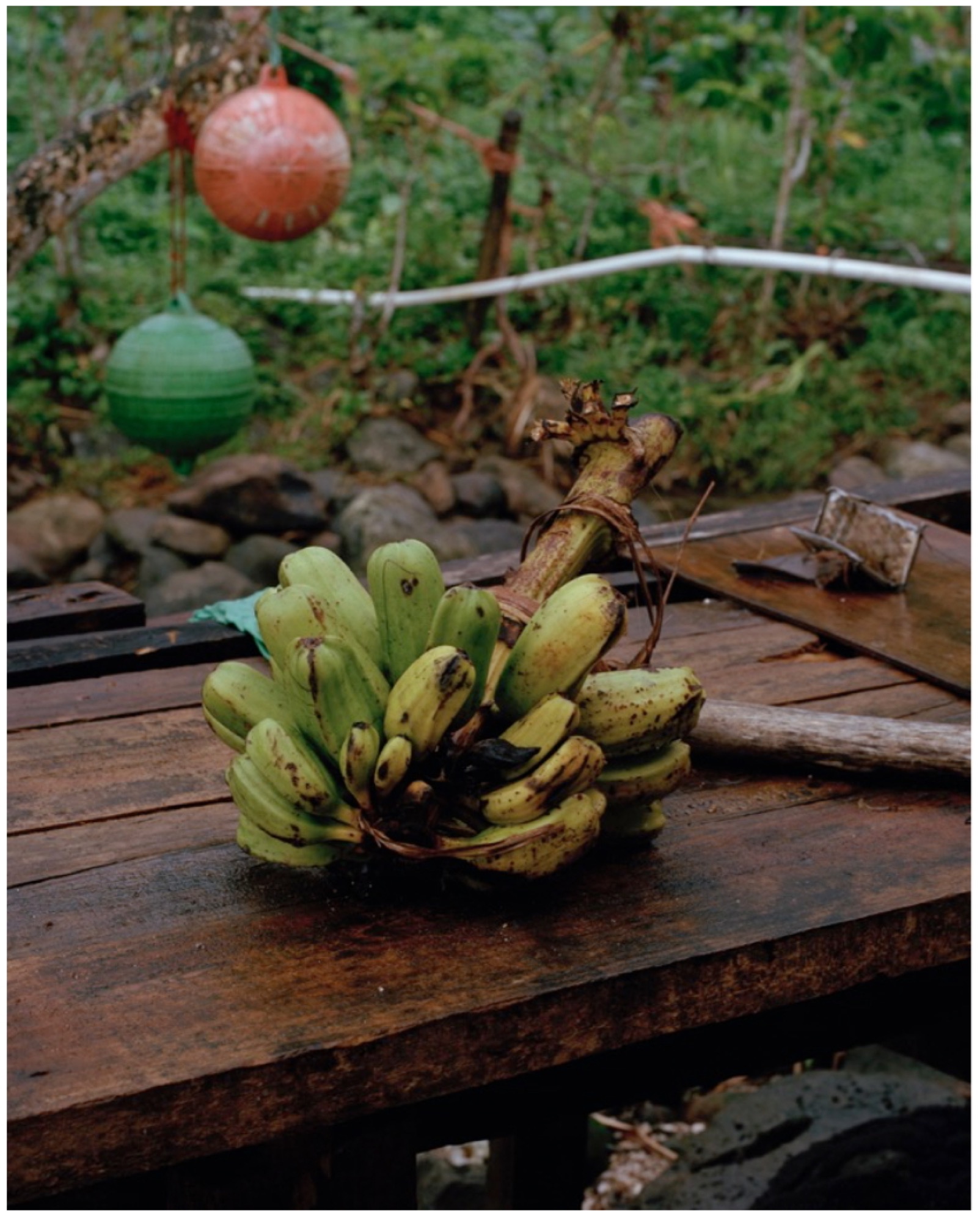 Douglas Lance Gibson, <em>Vudi (Plantains)</em>, 2014. Archival pigment print, coconut timber frame, 70 x 56 cm. Photo credit: Andrew Curtis.