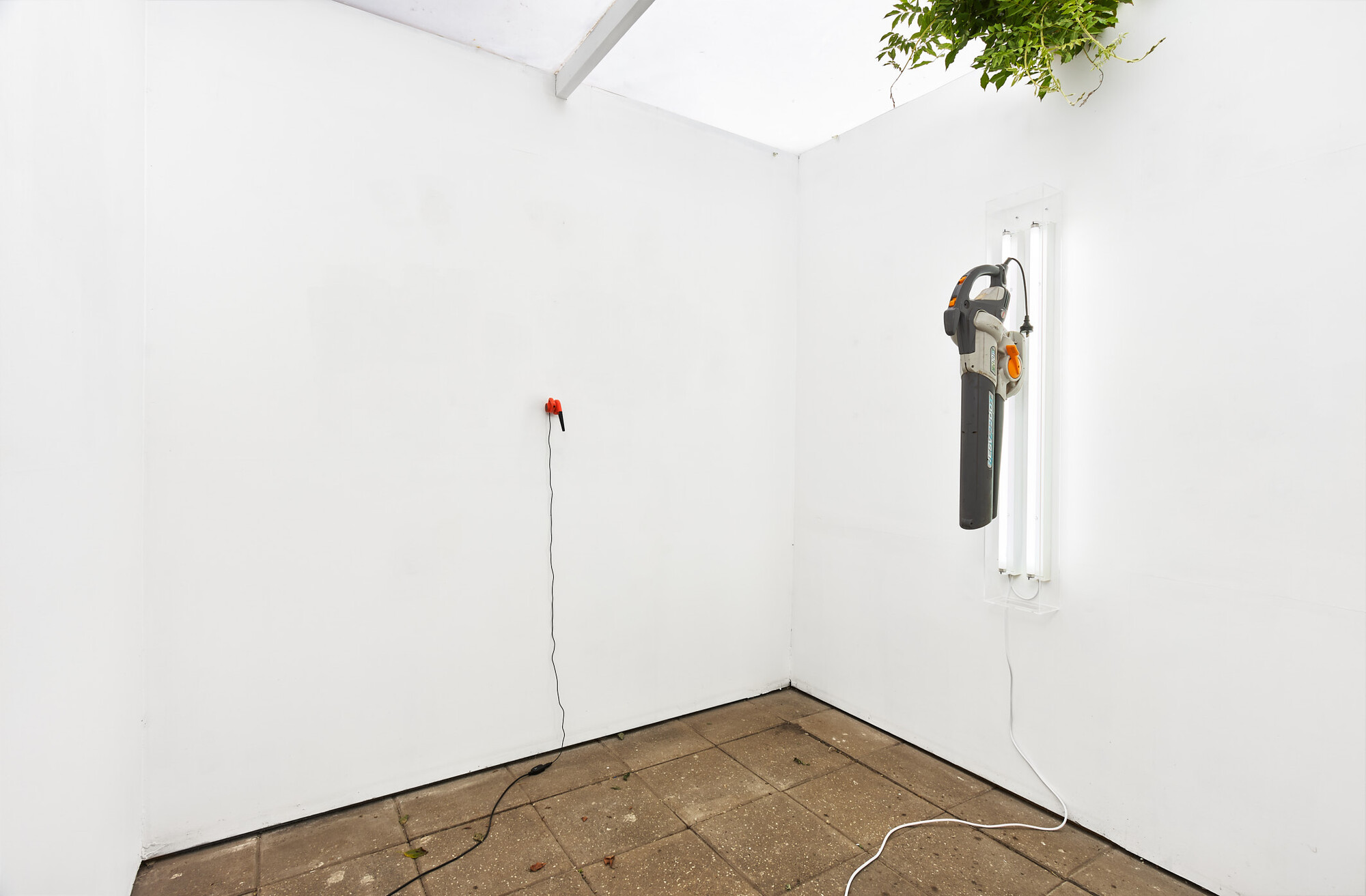 Installation view of Dust Blaster, Savage Garden, 2022. Photo: Christo Crocker