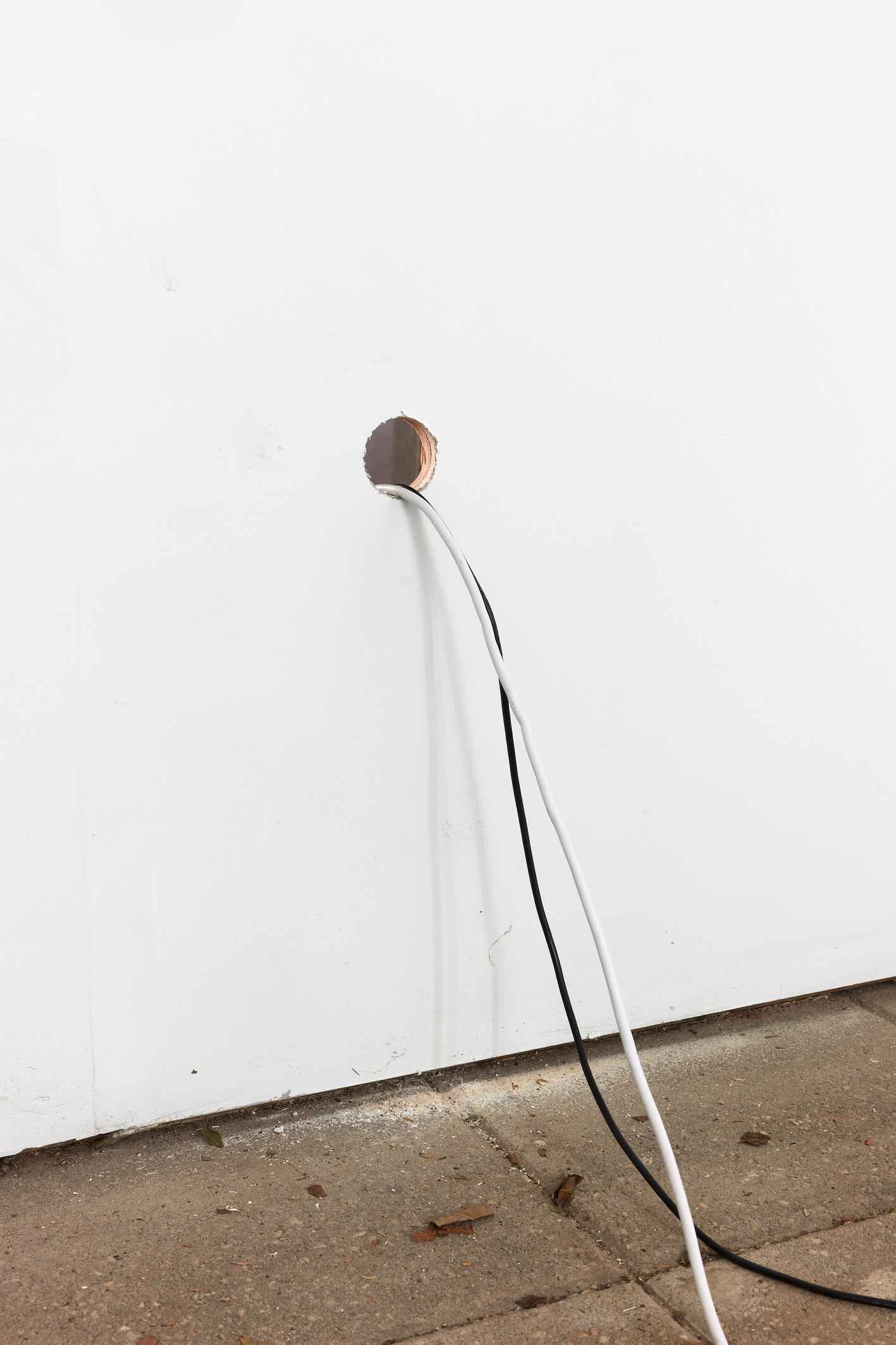 Installation view of Dust Blaster, Savage Garden, 2022. Photo: Christo Crocker