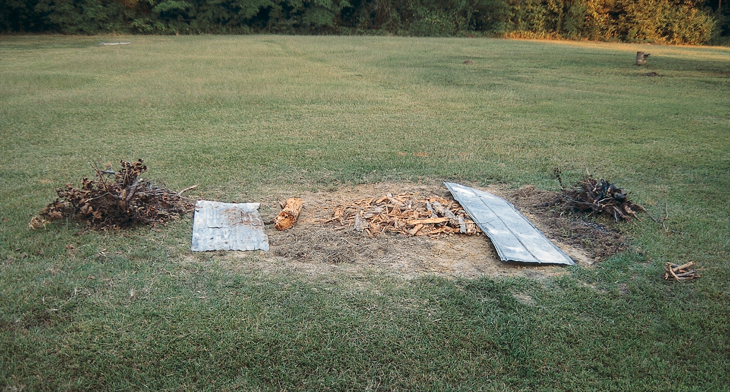 <p>Dinah Young, Flora Grave, 1997, dog bones, tin sheets and wood. Photo: William Arnett.</p>