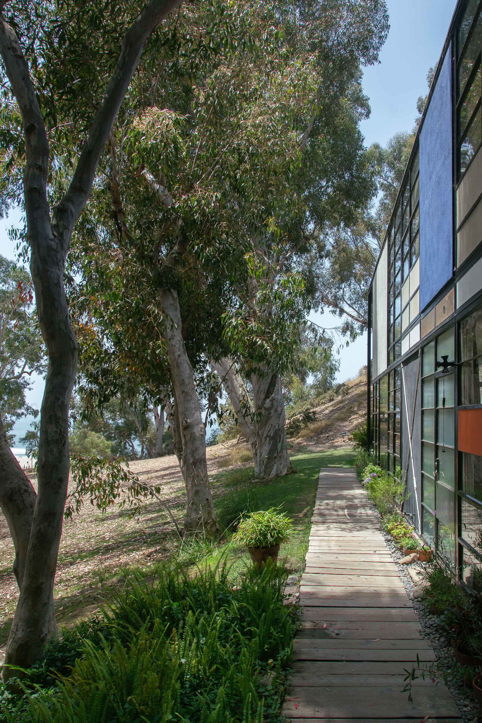 <p>Eames House (1949). Photo: Anna Tonkin</p>