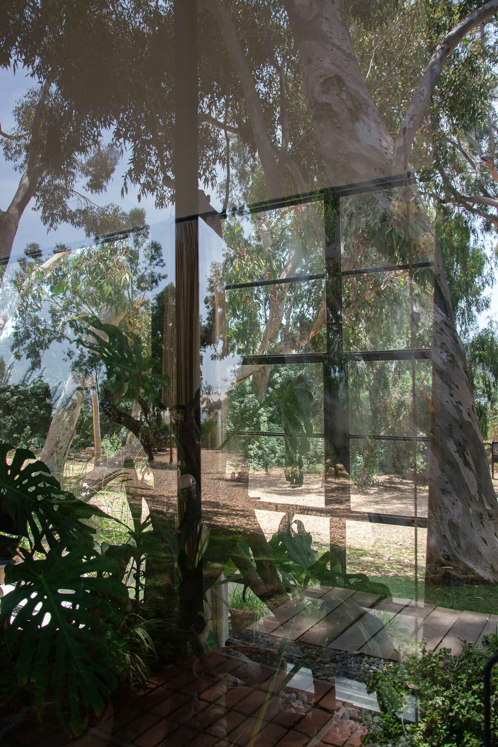 <p>Eames House (1949). Photo: Anna Tonkin</p>