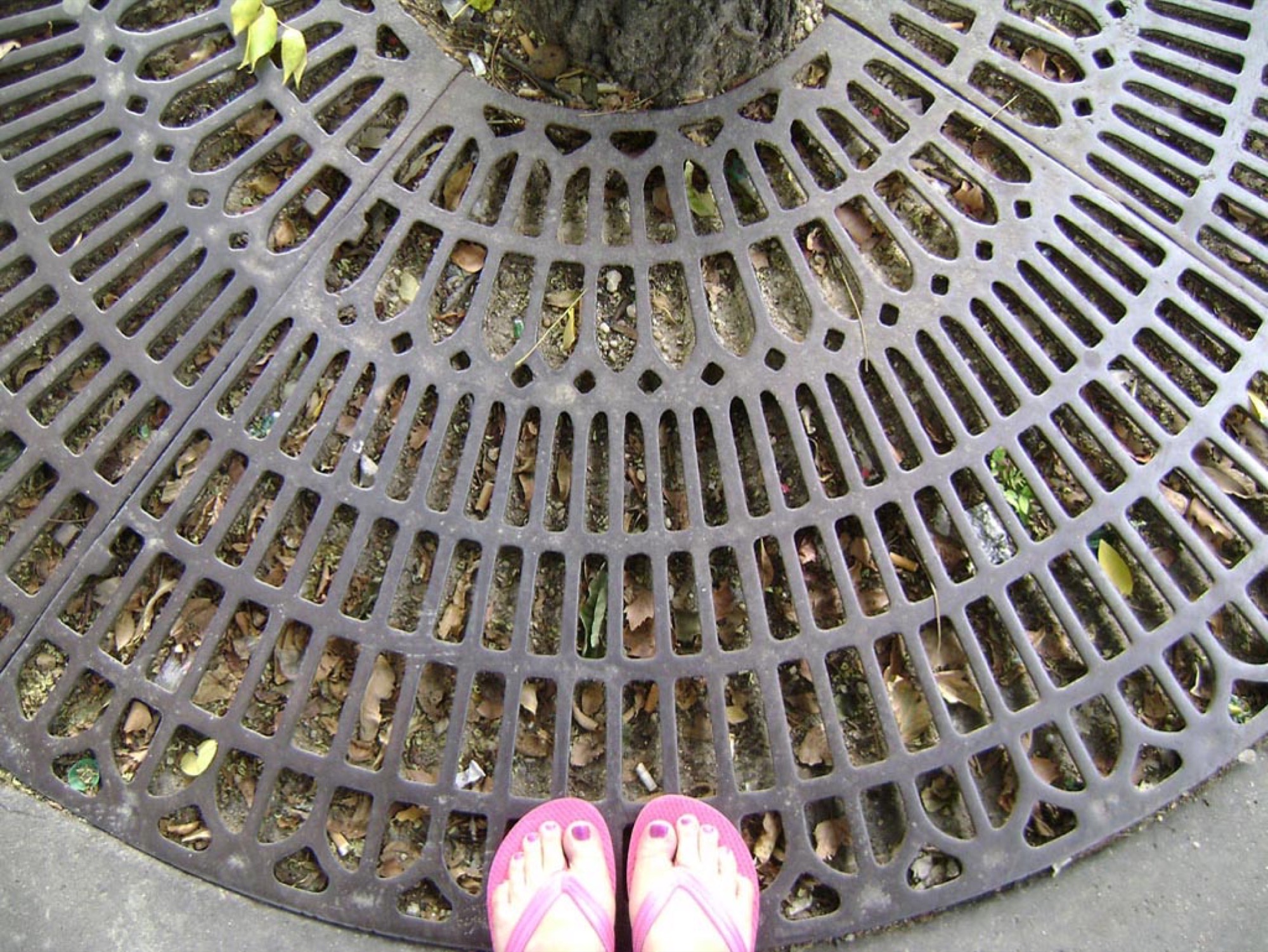 Elizabeth Gower, <em>Outside the Cité Internationale Des Arts 2007</em>, from <em>Places</em> (1980 – 2020) series, photographs, dimensions variable. Image credit: Courtesy of the artist.