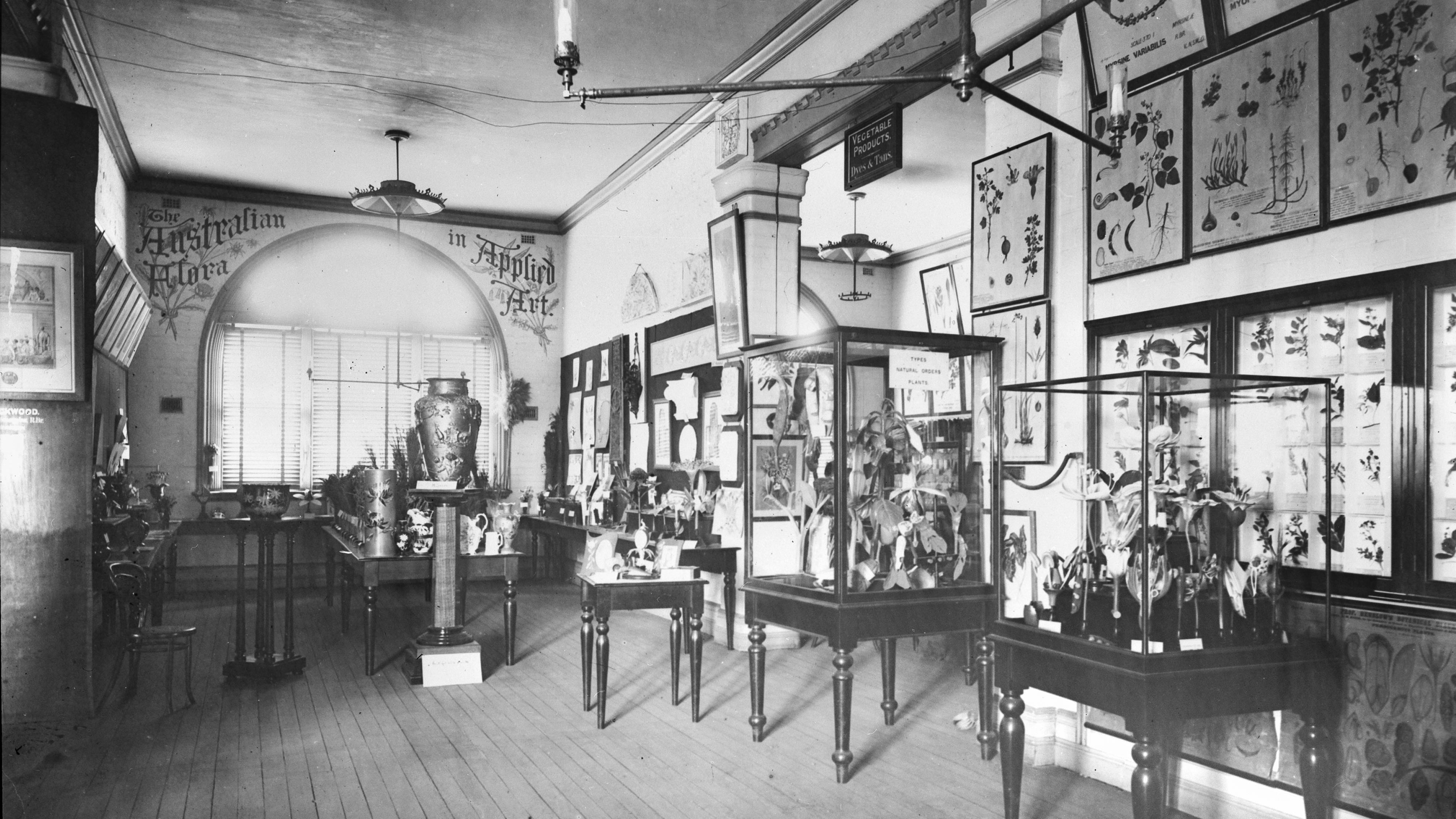 Timber Court, Australian Flora, Technological Museum, Harris Street, Ultimo c1908, Powerhouse Collection.