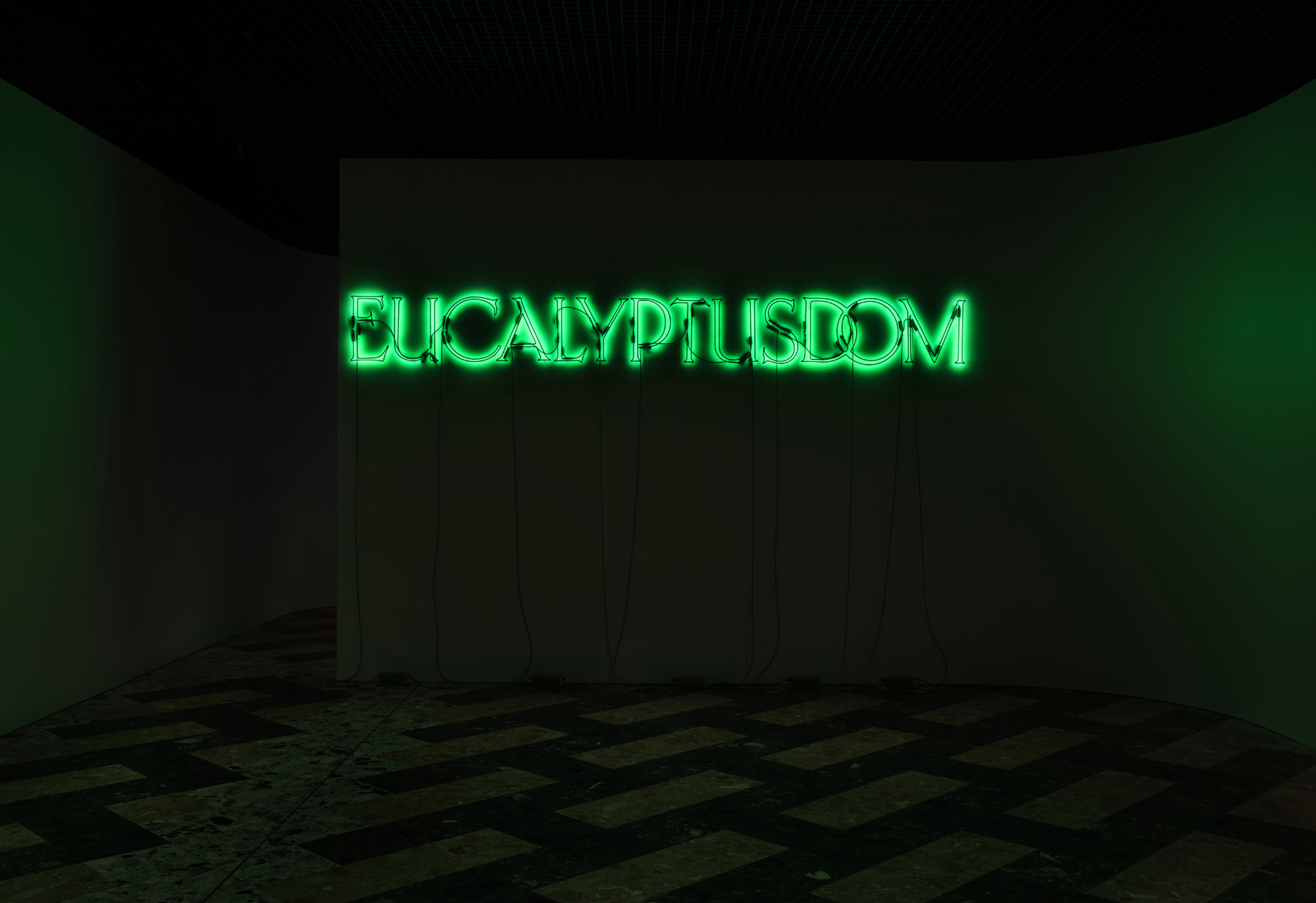 Entrance to exhibition, <em>Eucalyptusdom</em>. Photographed by Zan Wimberley