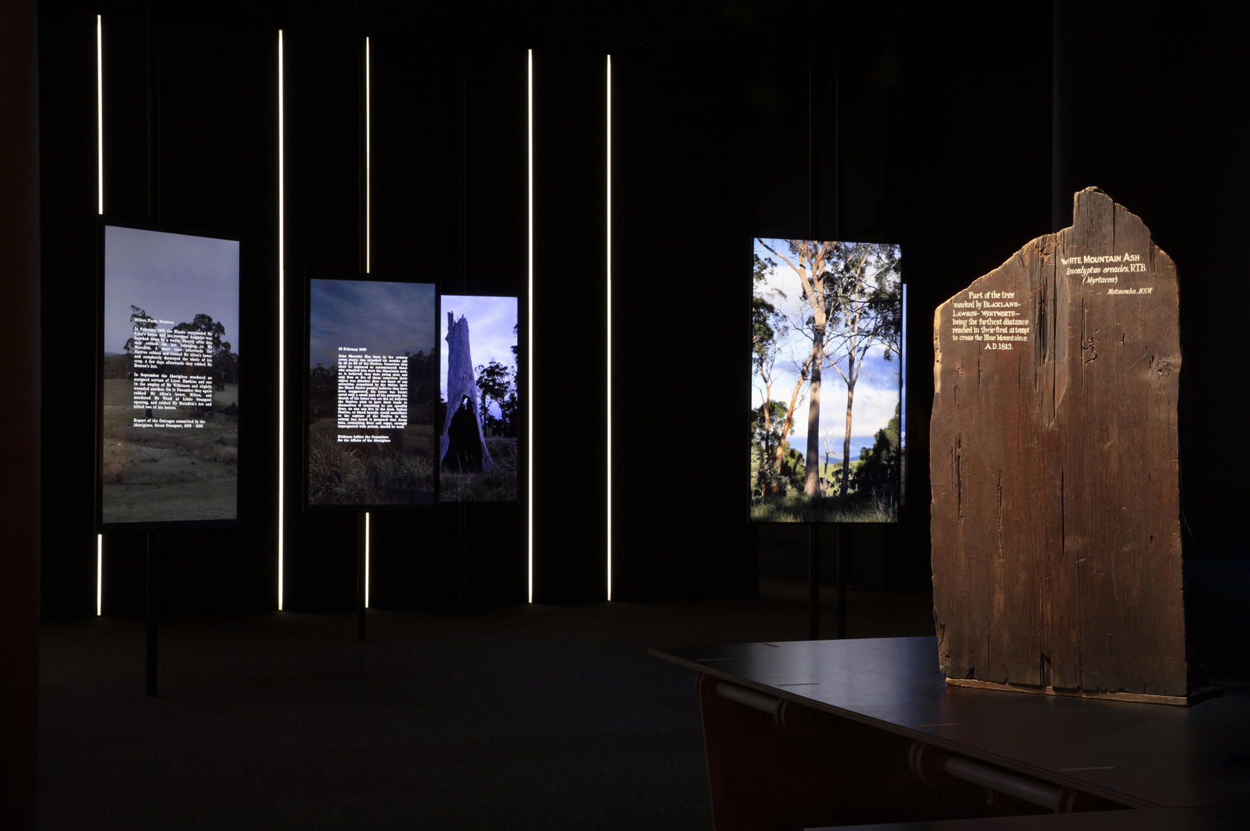 View of <em>Eucalyptusdom</em> showing commissioned work, <em>Witness</em> by Julie Gough and a Mountain Ash marker from the Museum’s collection. Photographed by Zan Wimberley