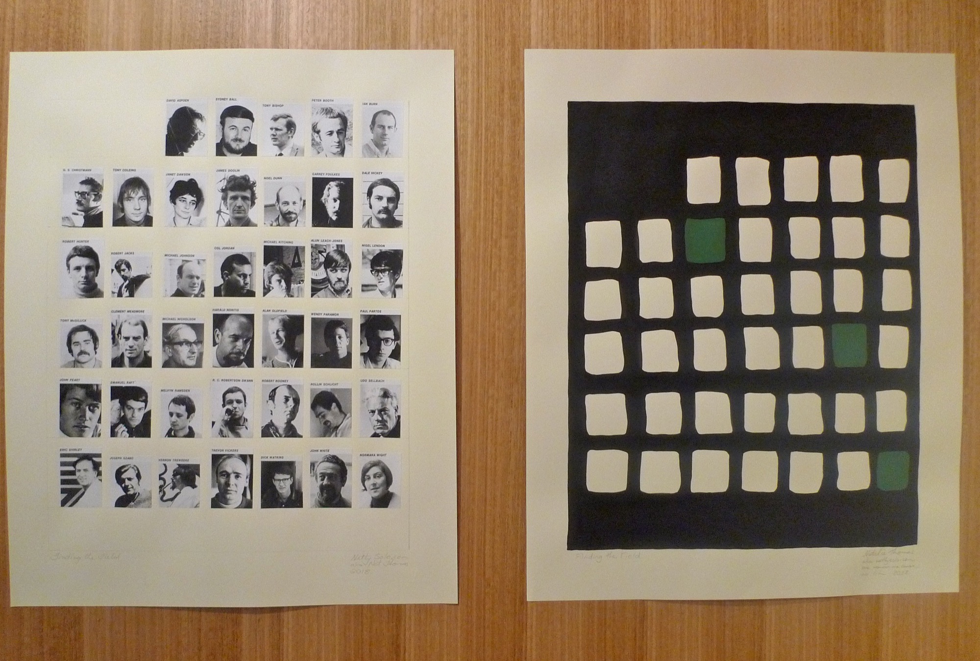 Natalie Thomas, <em>Finding the Field,</em> 2018.