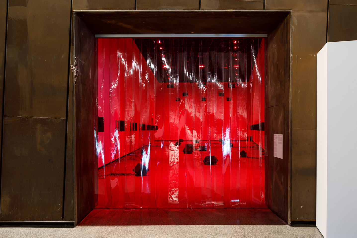 Installation view of <em>Frances Barrett: Meatus</em>, Australian Centre for Contemporary Art, Melbourne, 2022. Photo: Andrew Curtis