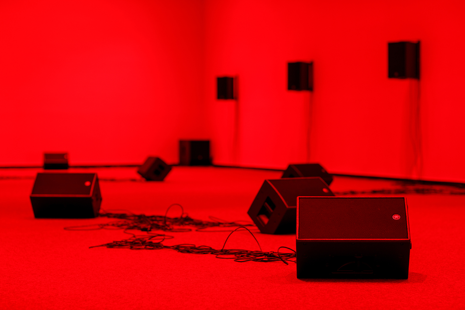 Frances Barrett, Hayley Forward, Brian Fuata, <em>worm divination (segmented realities)</em> 2020, immersive sound environment 32:30 mins. Photo: Andrew Curtis