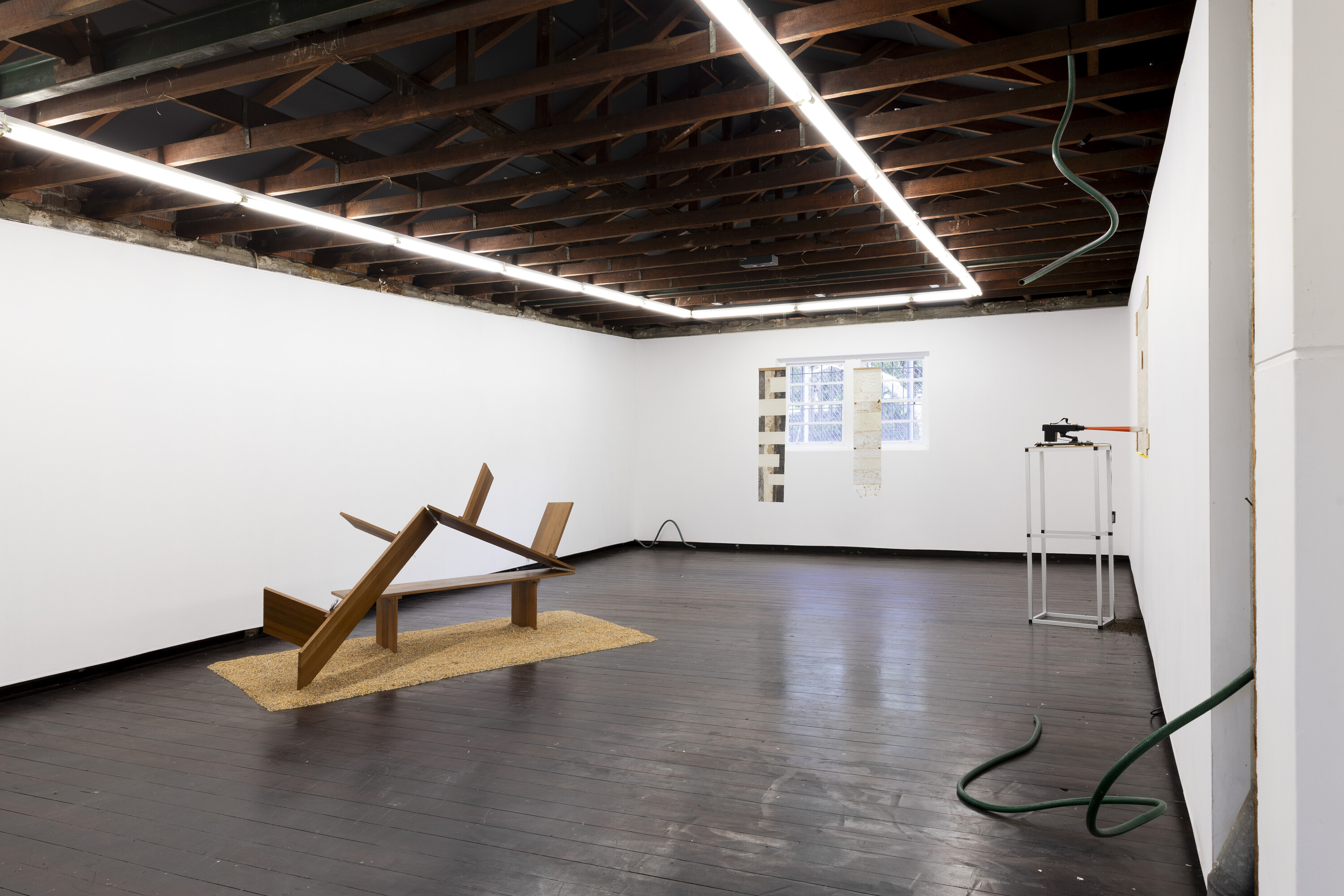 <p>Installation view of <em>Garden Variety Dykes</em>, 2025. Photo: Jessica Maurer.</p>