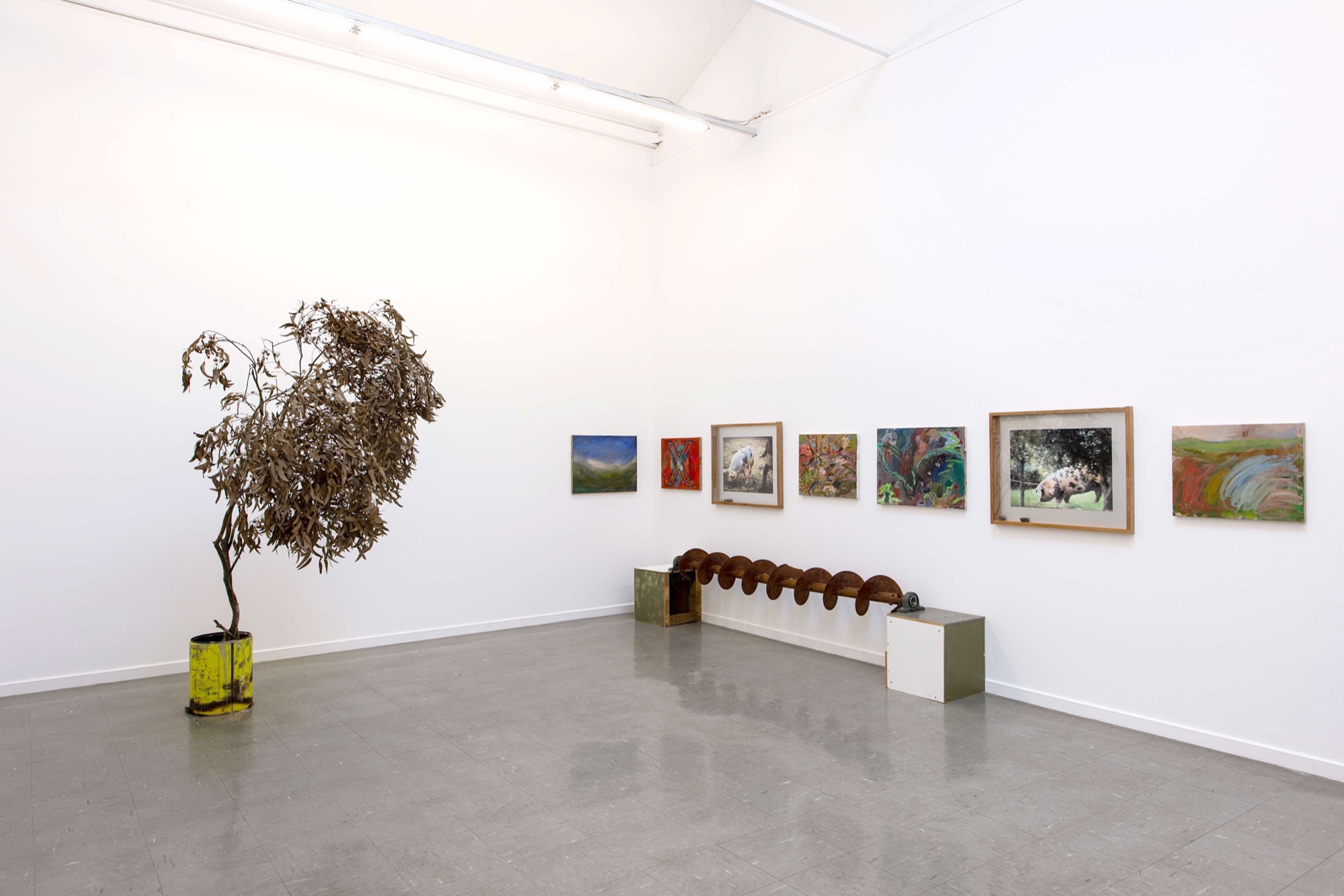 George Egerton-Warburton, <em>Coma</em>, installation view, Sutton Gallery. Image credit: Guy Grabowsky.