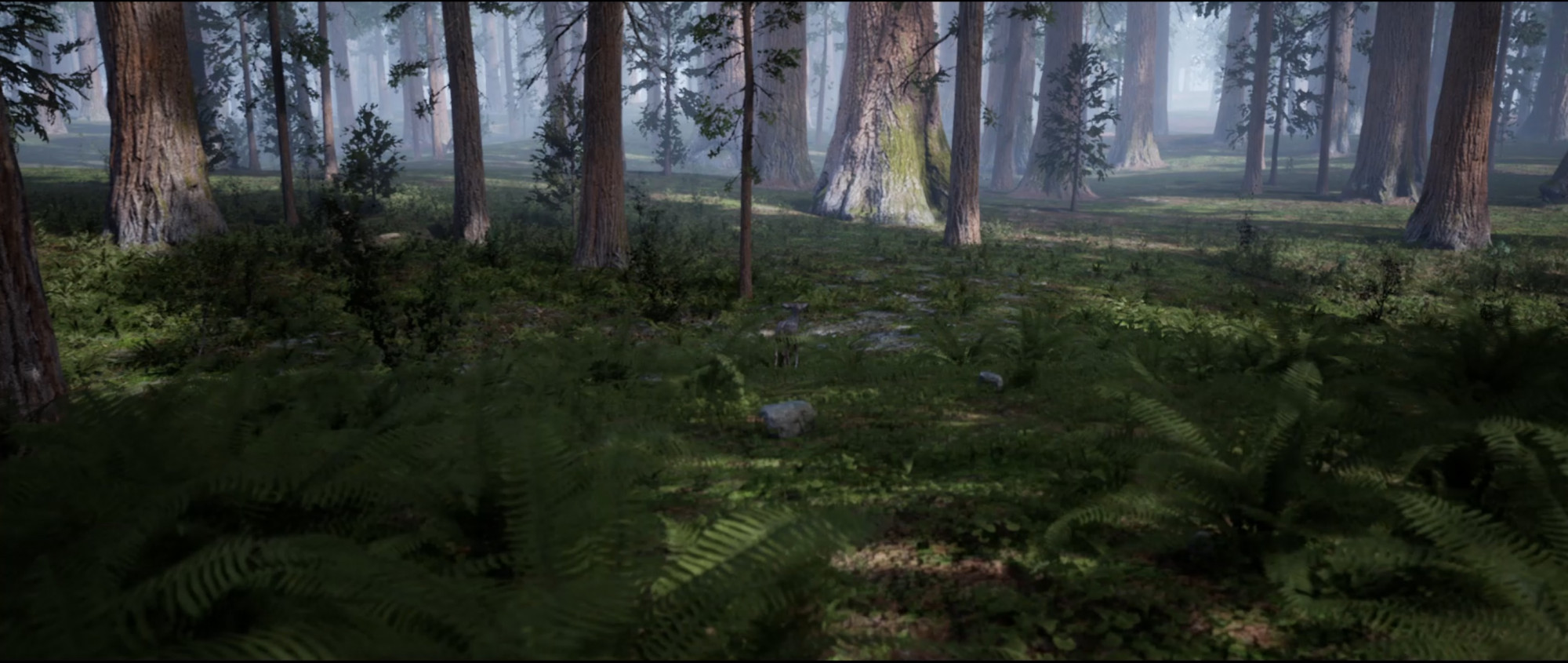 Grant Stevens, <em>Fawn in the Forest,</em> 2020, live streamed procedurally generated computer graphics with sound, assisted by Pat Younis. Courtesy the artist and Sullivan + Strumpf, Sydney.
