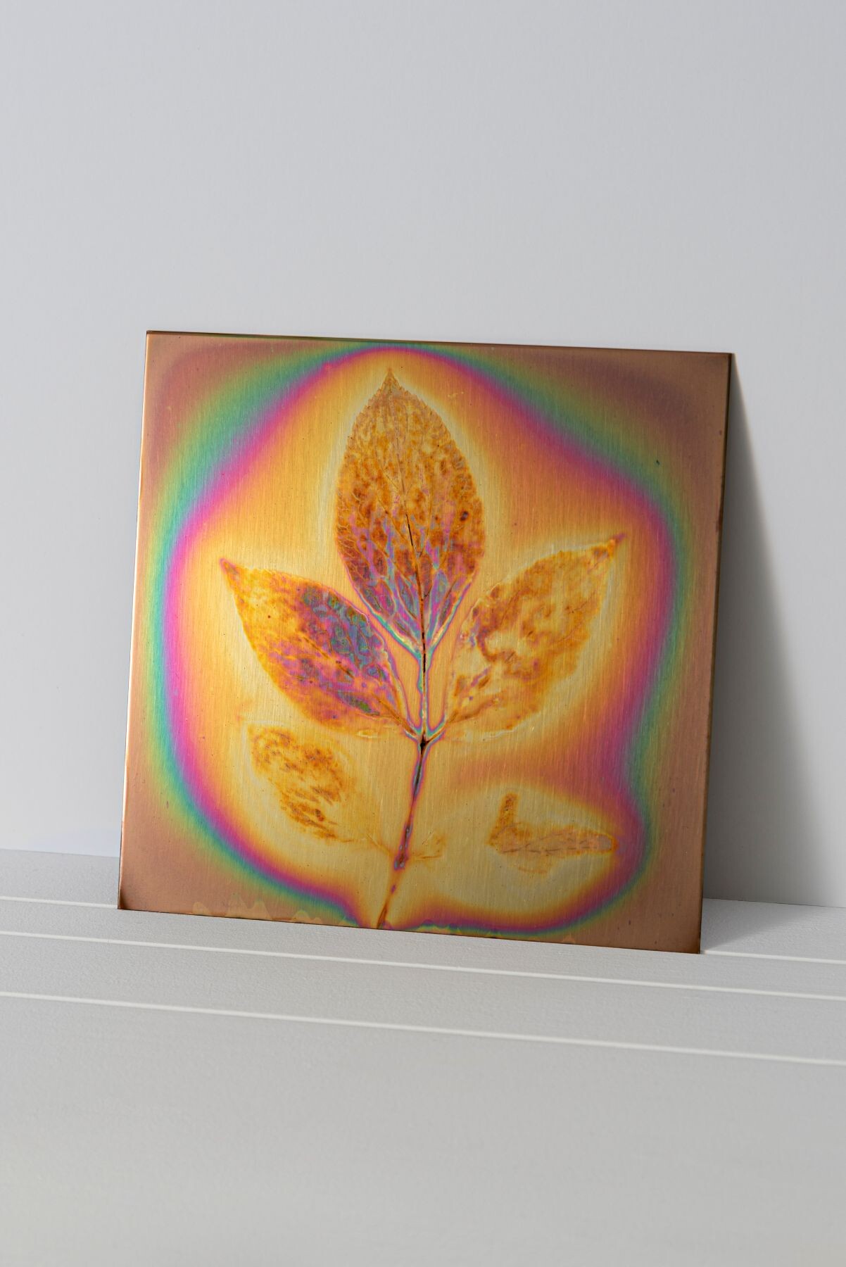 <p>Hanako Murakami,&nbsp;<em>Untitled (Thermography – Niépce’s Garden)</em>, 2026, thermography on copper. Courtesy Yumiko Chiba Associates; image courtesy the artist.</p>
