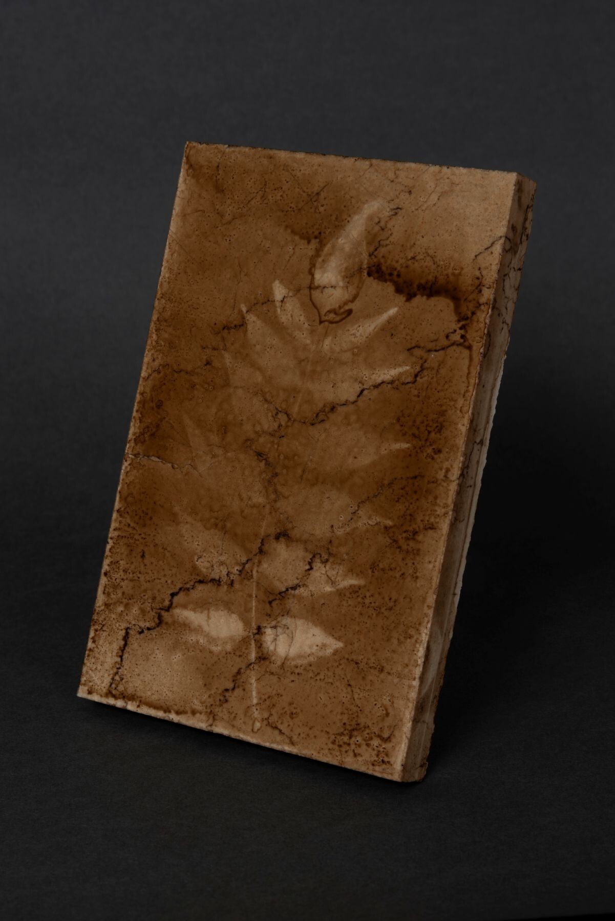 <p>Hanako Murakami,&nbsp;<em>Untitled (heliography)</em>, 2026, marble. Courtesy Yumiko Chiba Associates; image courtesy the artist.</p>