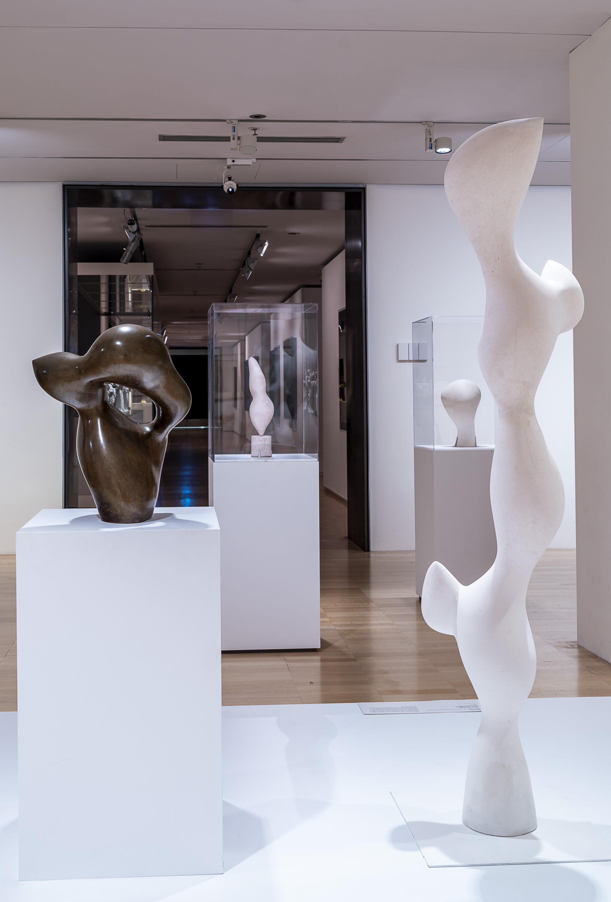 <p>Installation view of Hans Arp, <em>Torso with Buds</em>, 1961, cast 1970s, plaster, generously gifted by the artist’s estate Stiftung Arp e.V., on display at NGV International. Photo: Garry Sommerfeld.</p>